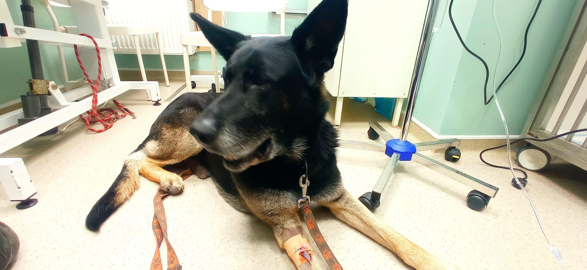 Veterinární ordinace Vet-Kučera s.r.o.