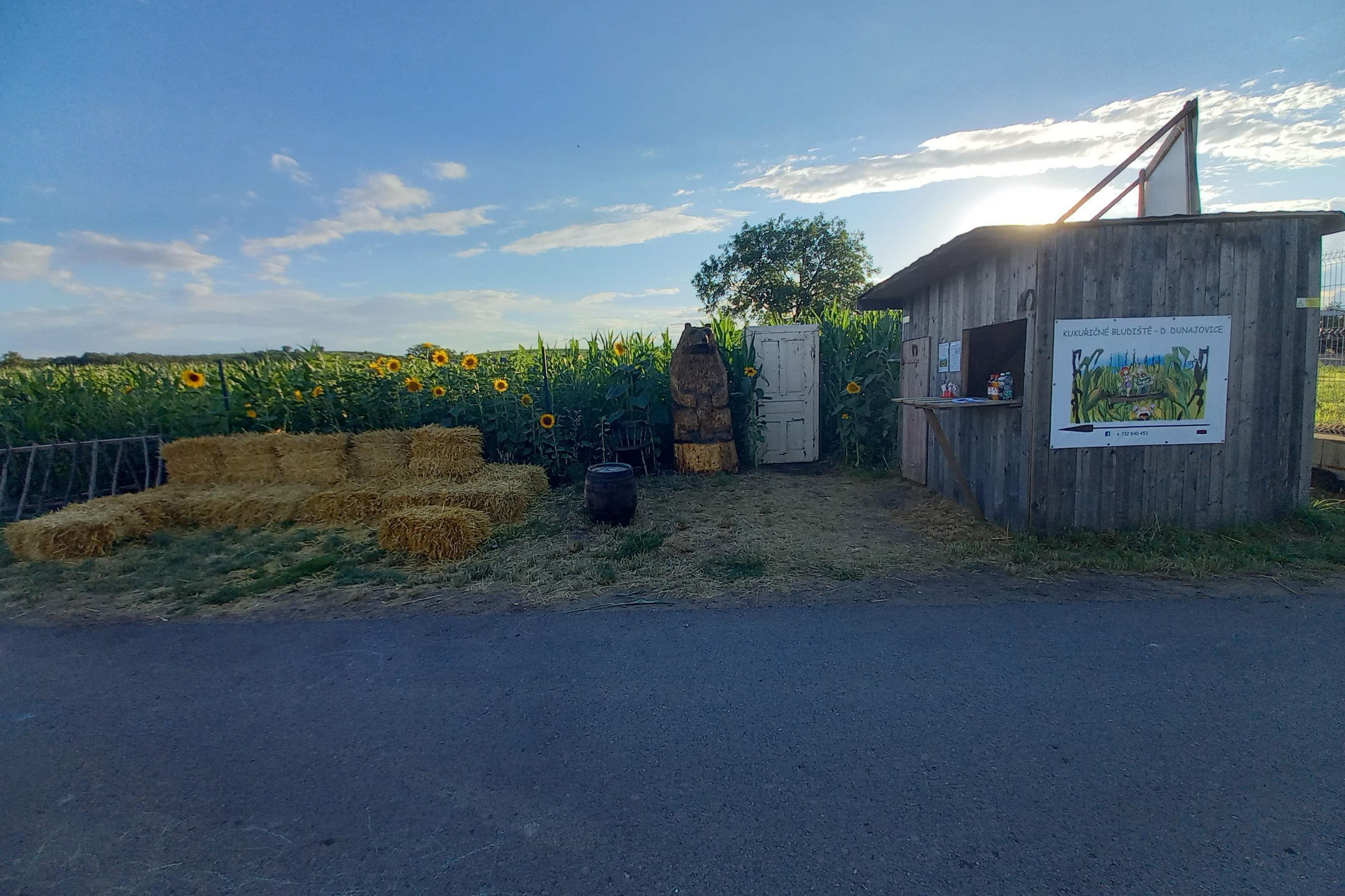 Kukuřište- Kukuřičné Bludiště