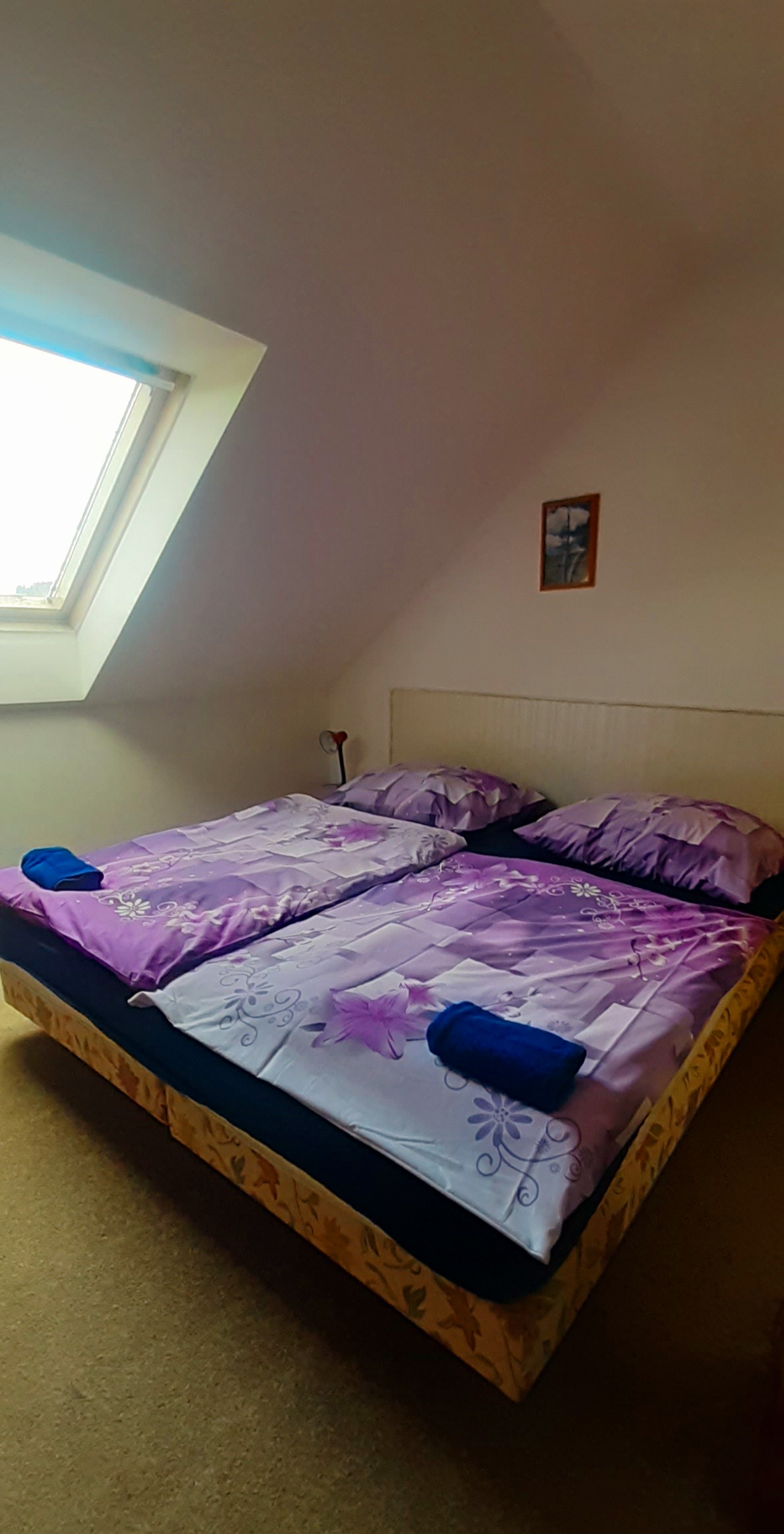 Penzion u Dračí Skály foto 6
