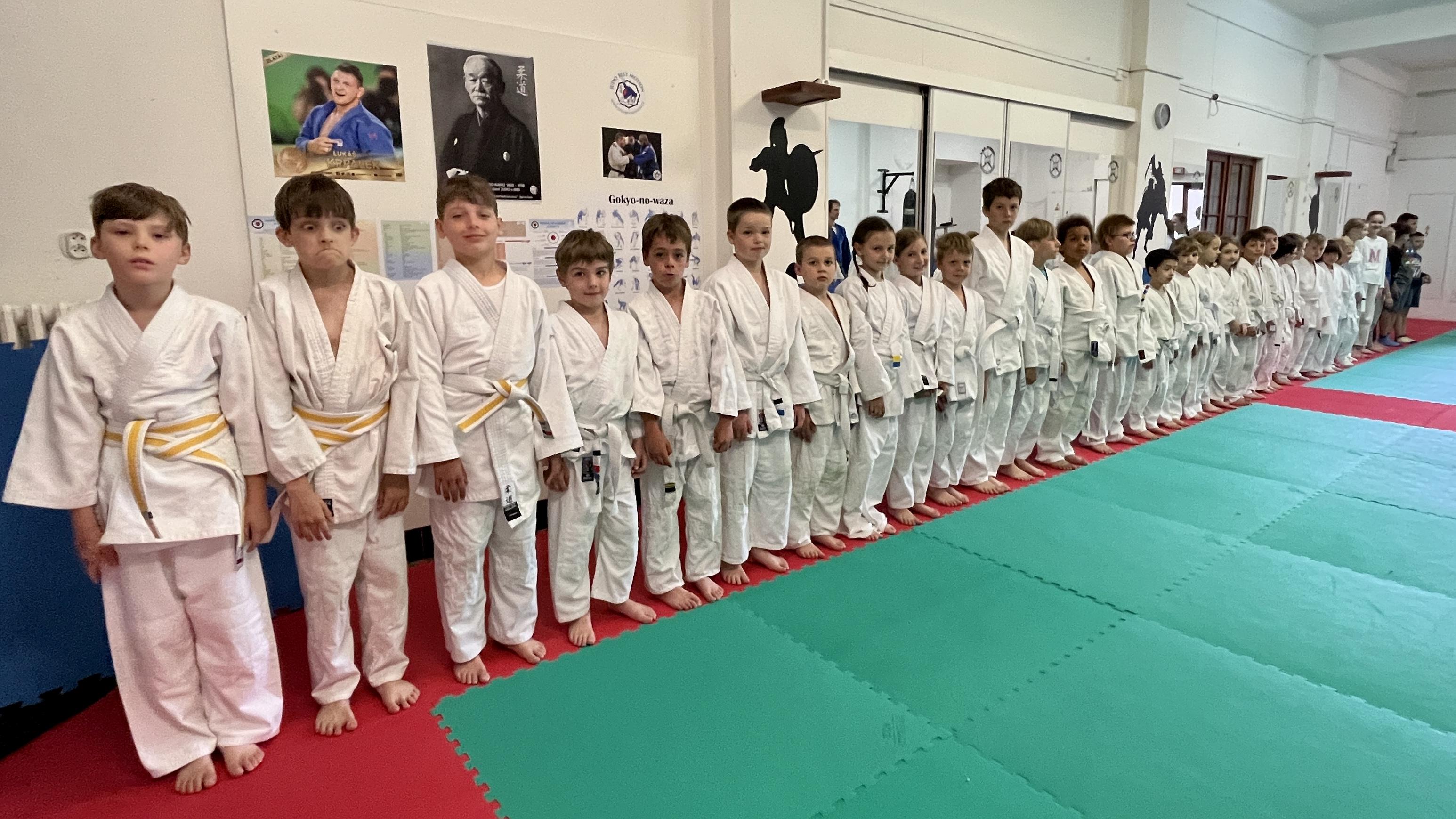 Tělocvičná jednota Sokol Michle foto 6