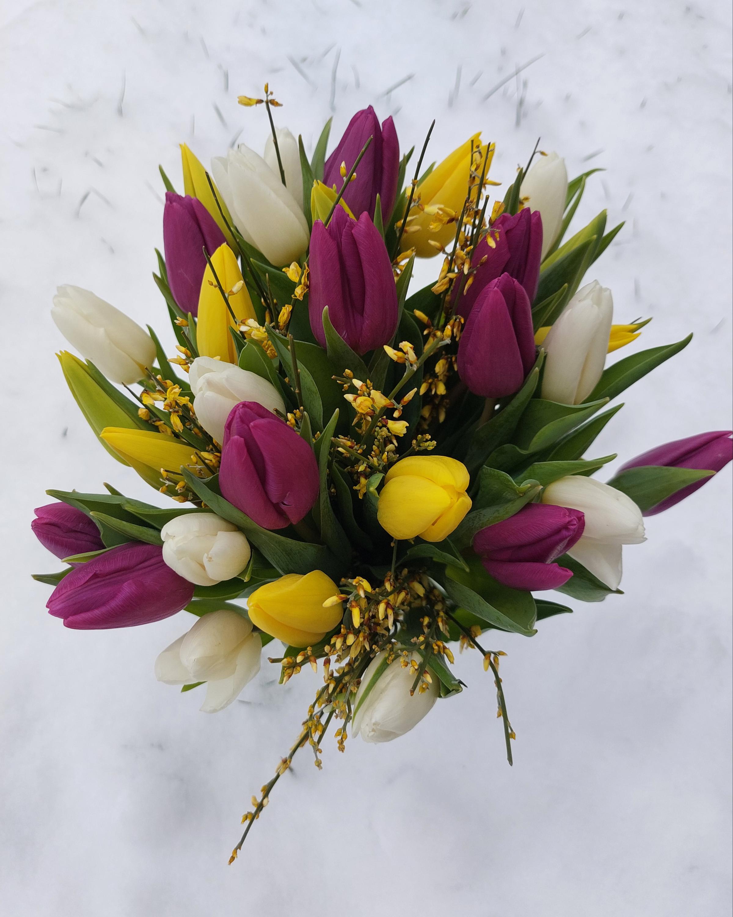 Květiny od Terky foto 3