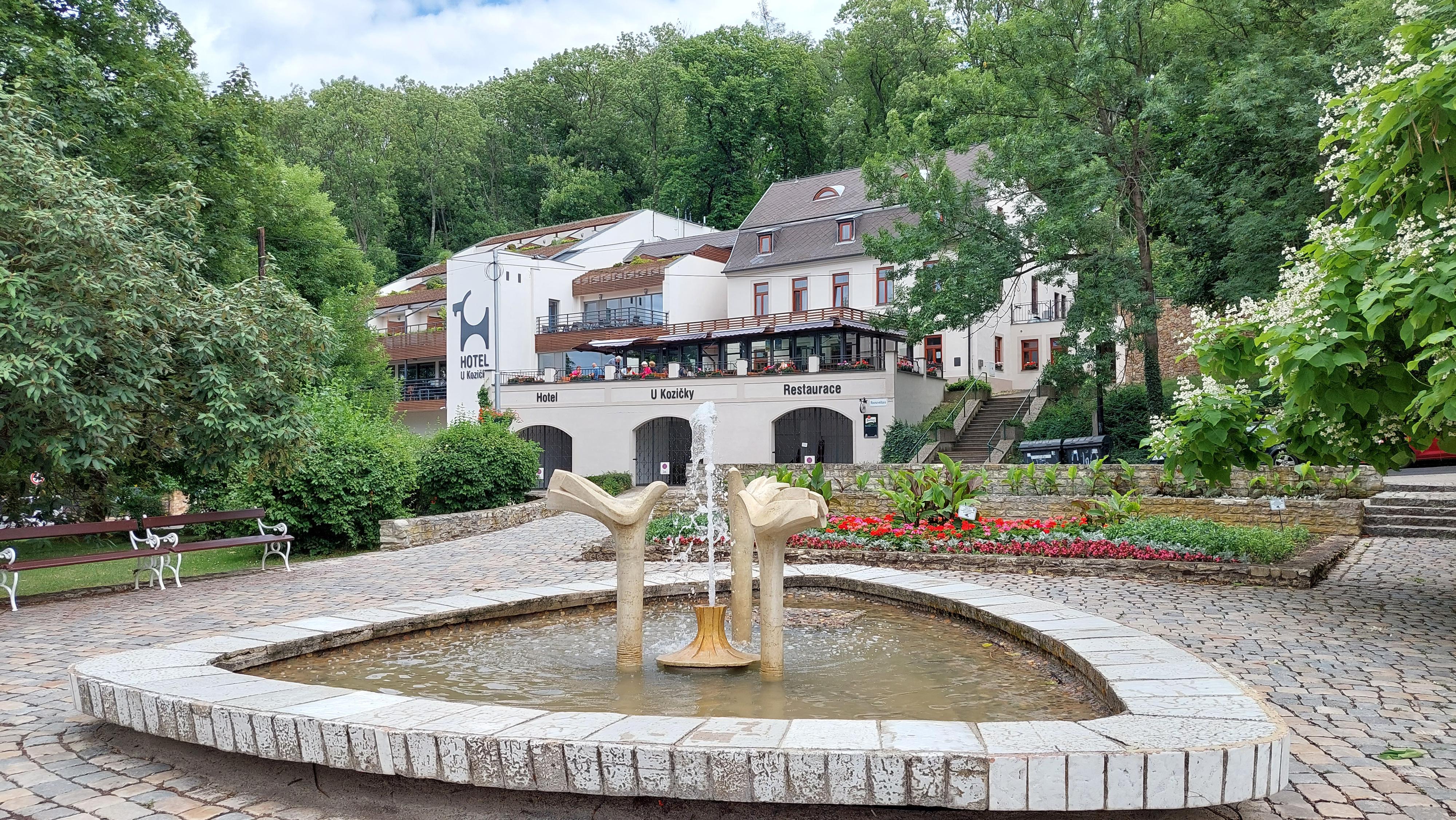 Restaurace U Kozičky foto 5