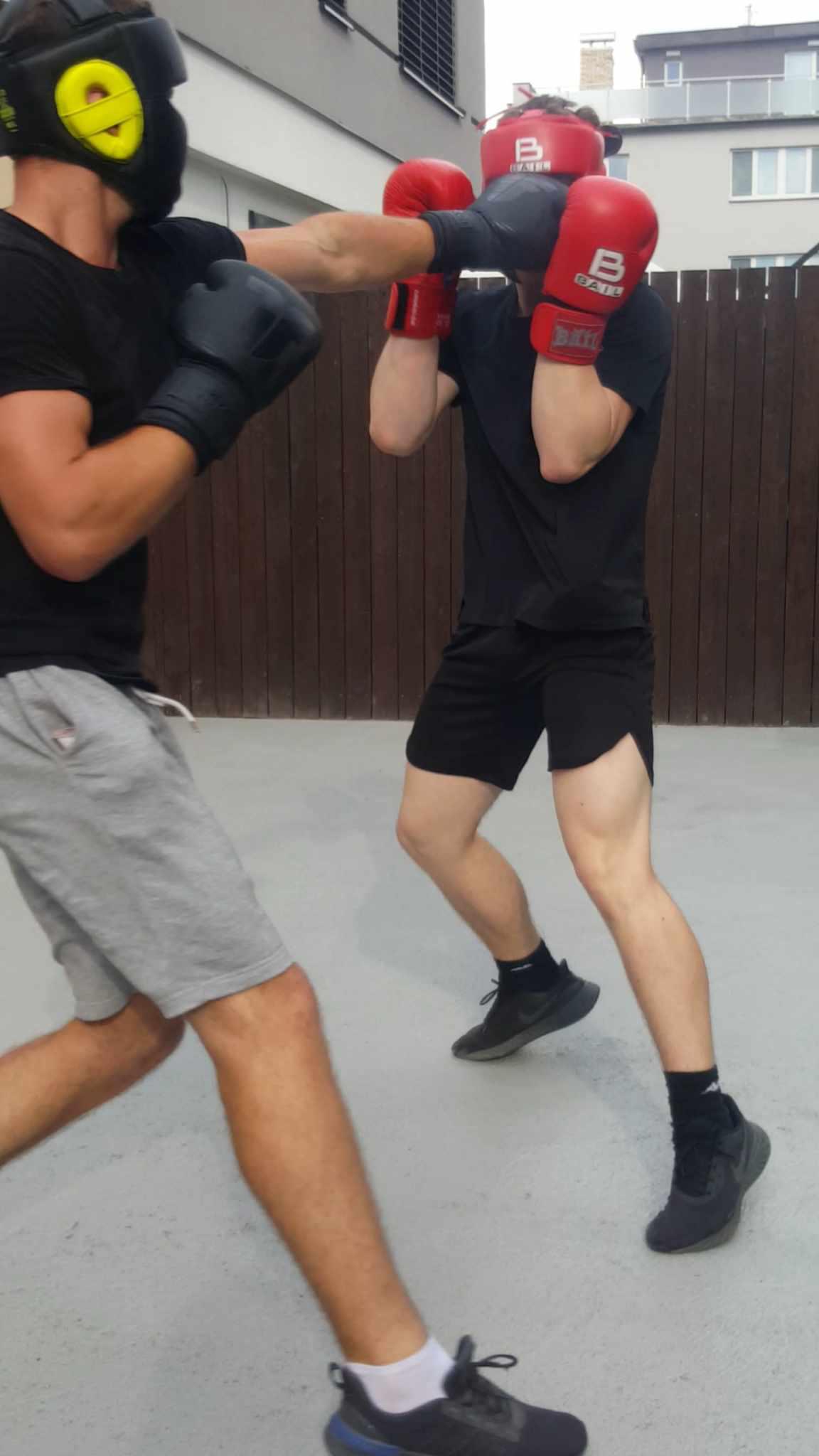 Boxing Čimice foto 4