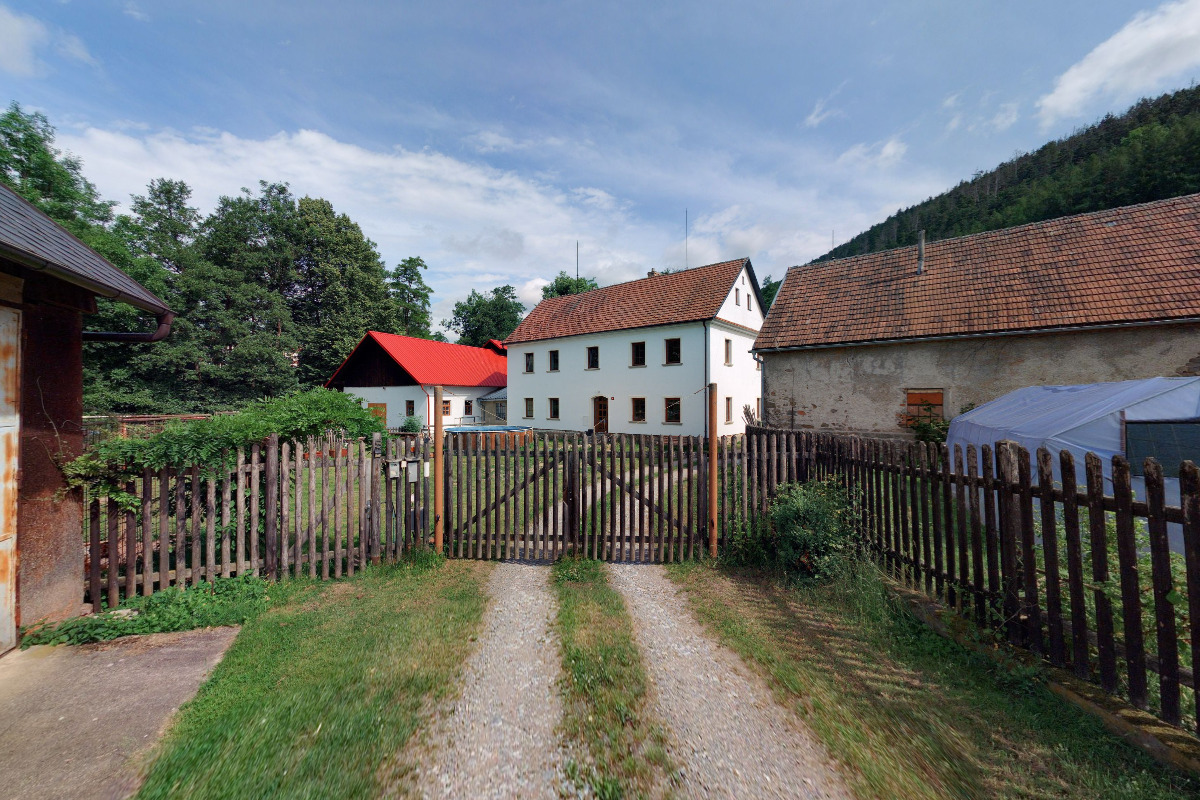 LESY VRÁNEK foto 3