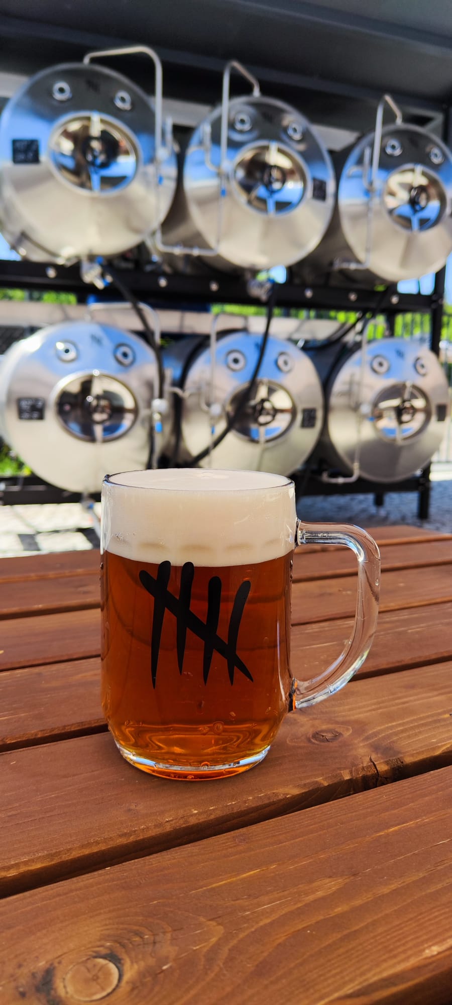 Občerstvení Měšťanský Pivovar Turnov foto 5