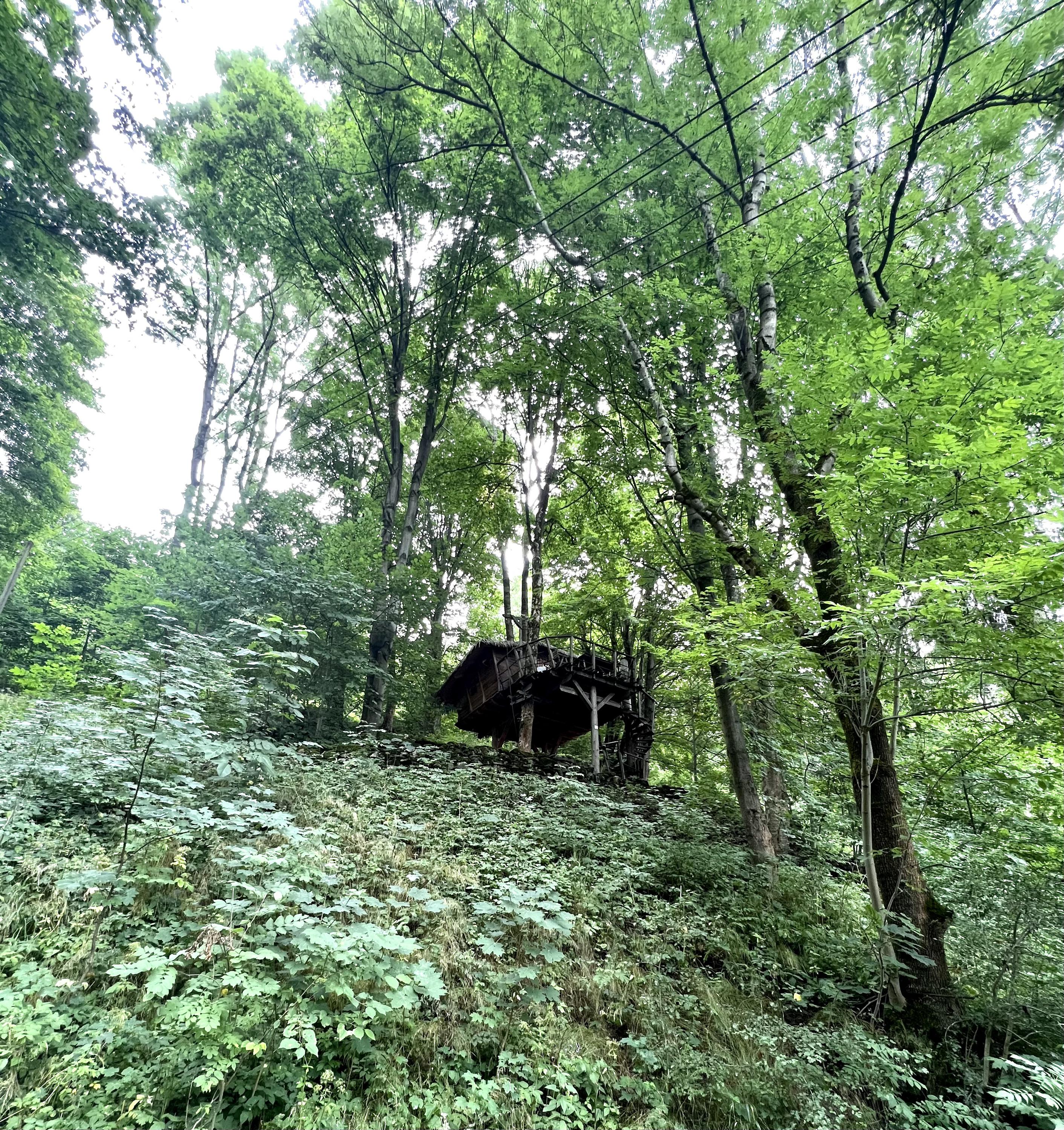 Treehouse pod Ještědem foto 5