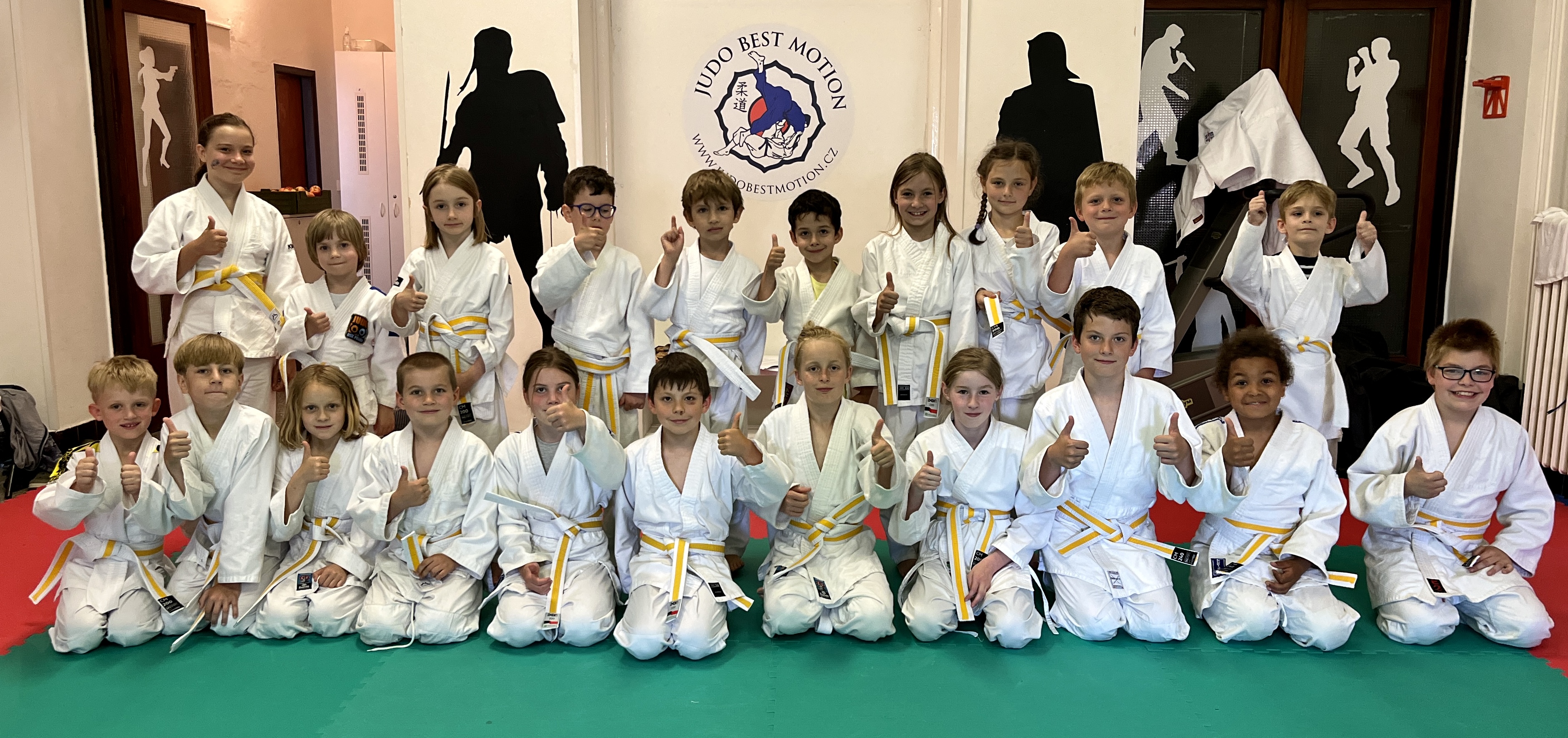 Tělocvičná jednota Sokol Michle foto 3