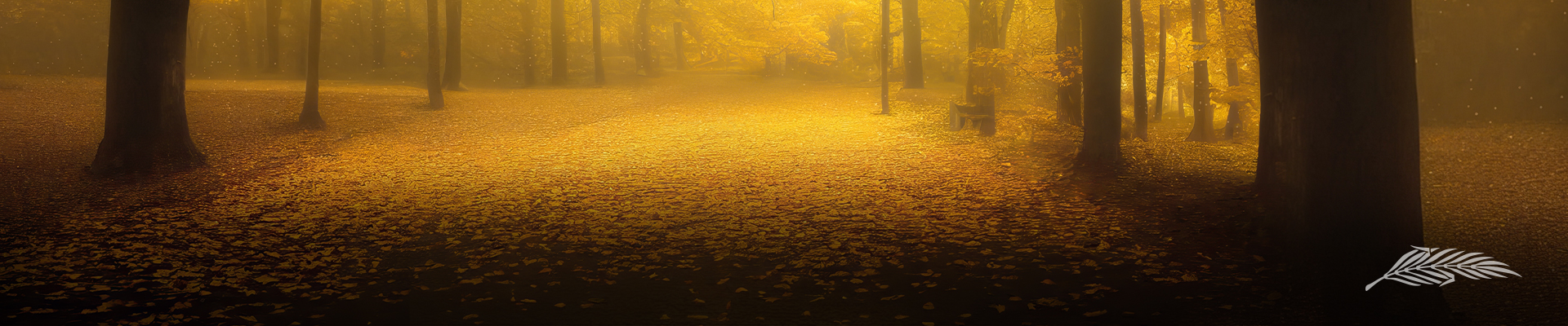 Úvodní obrázek Pohřební služba HELFI