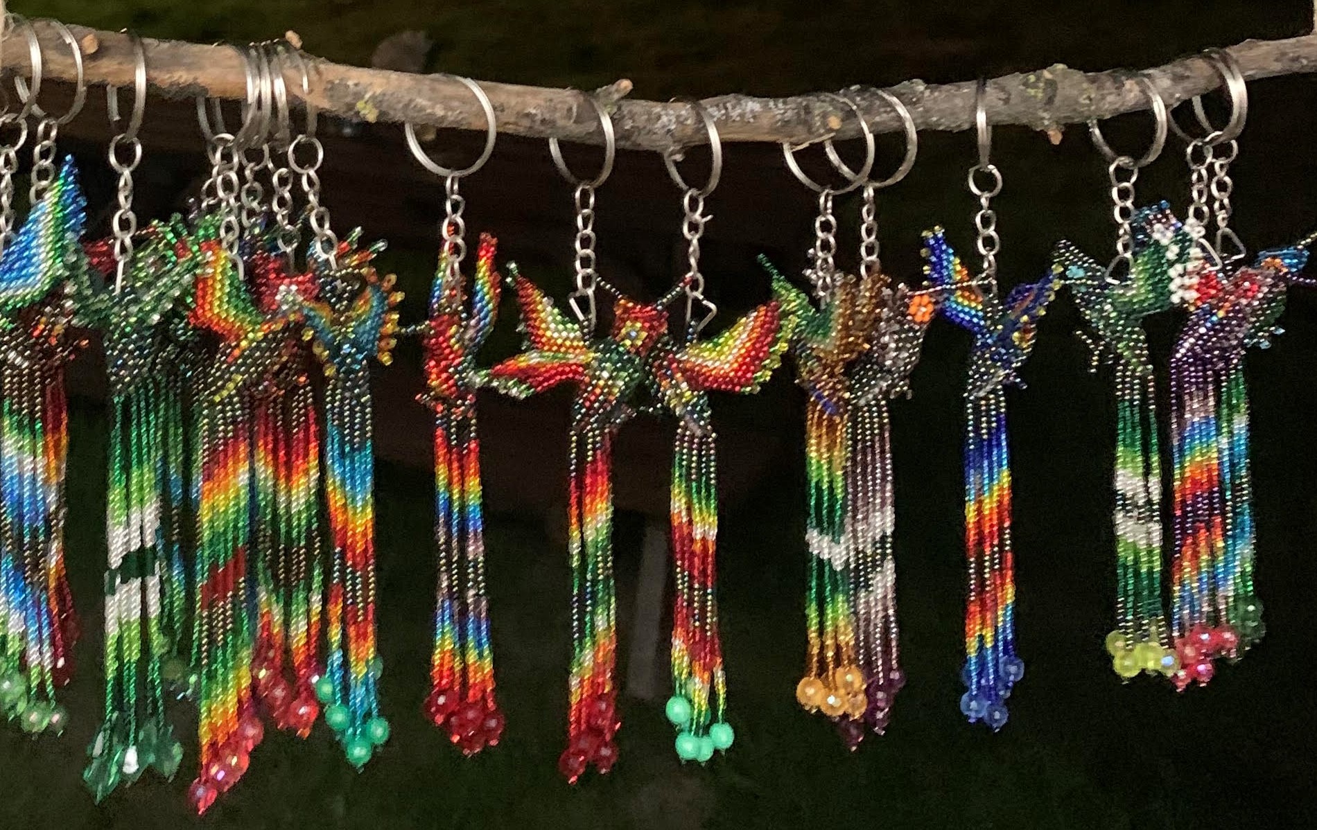 Amazonia Madam Cacao foto 4