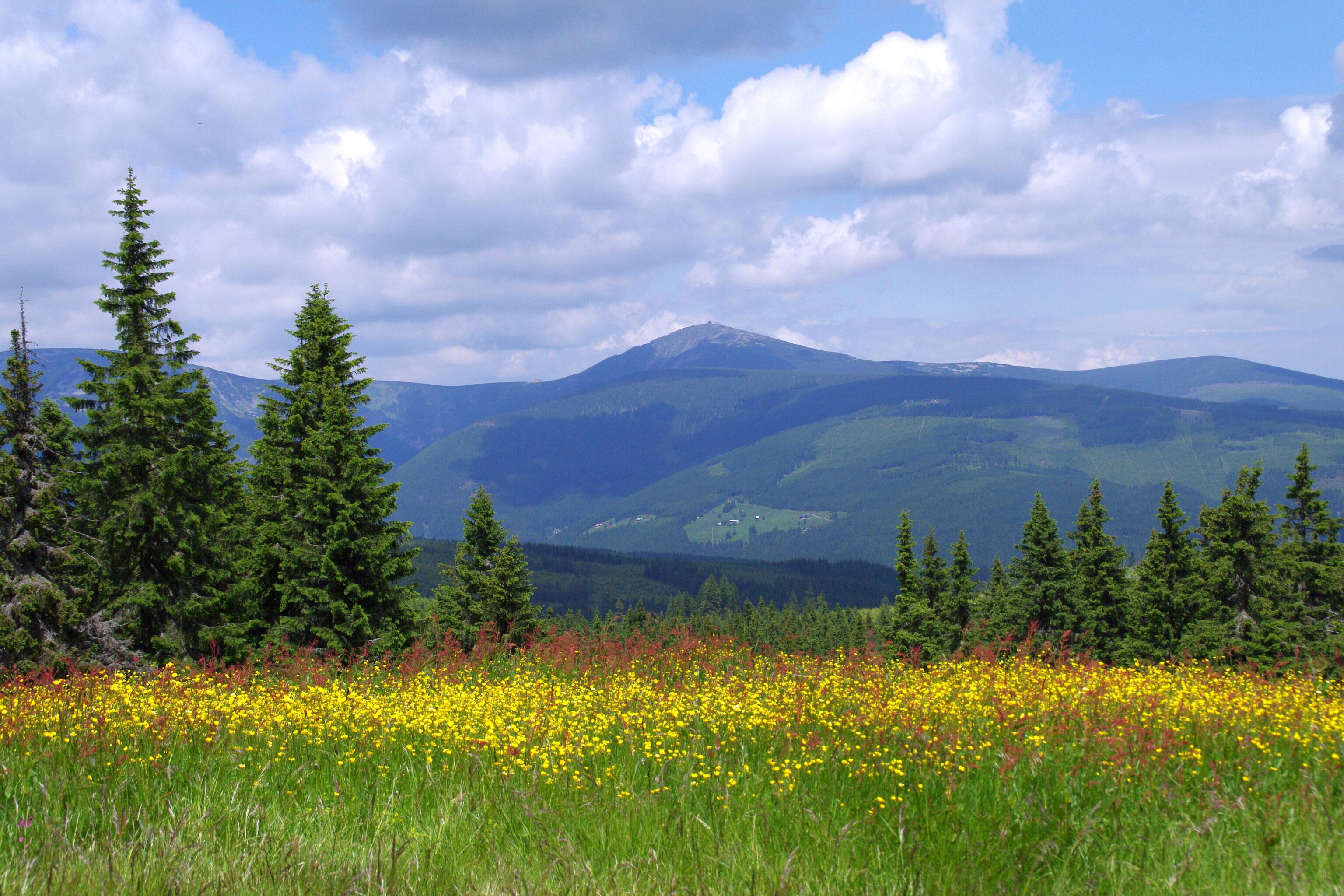 Restaurace Černá Bouda foto 3
