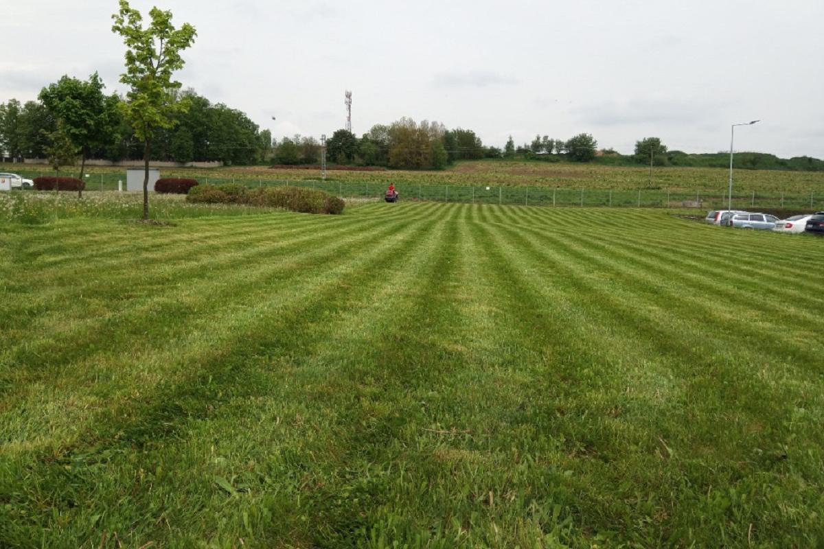 Sečení a údržba travnatých ploch Jiří Andreas