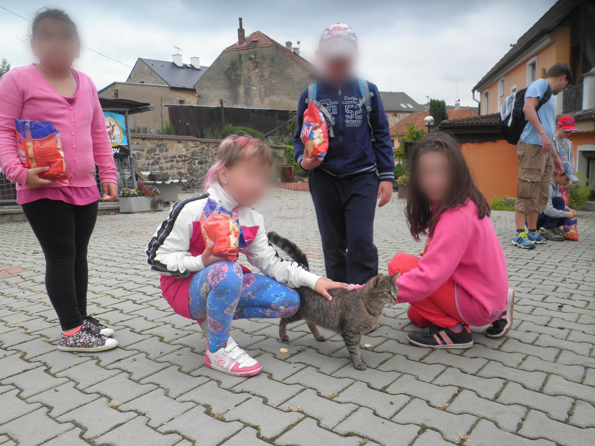 Česká společnost přátel zvířat, z.s., Útulek ,, Psí domov" Řepnice foto 2