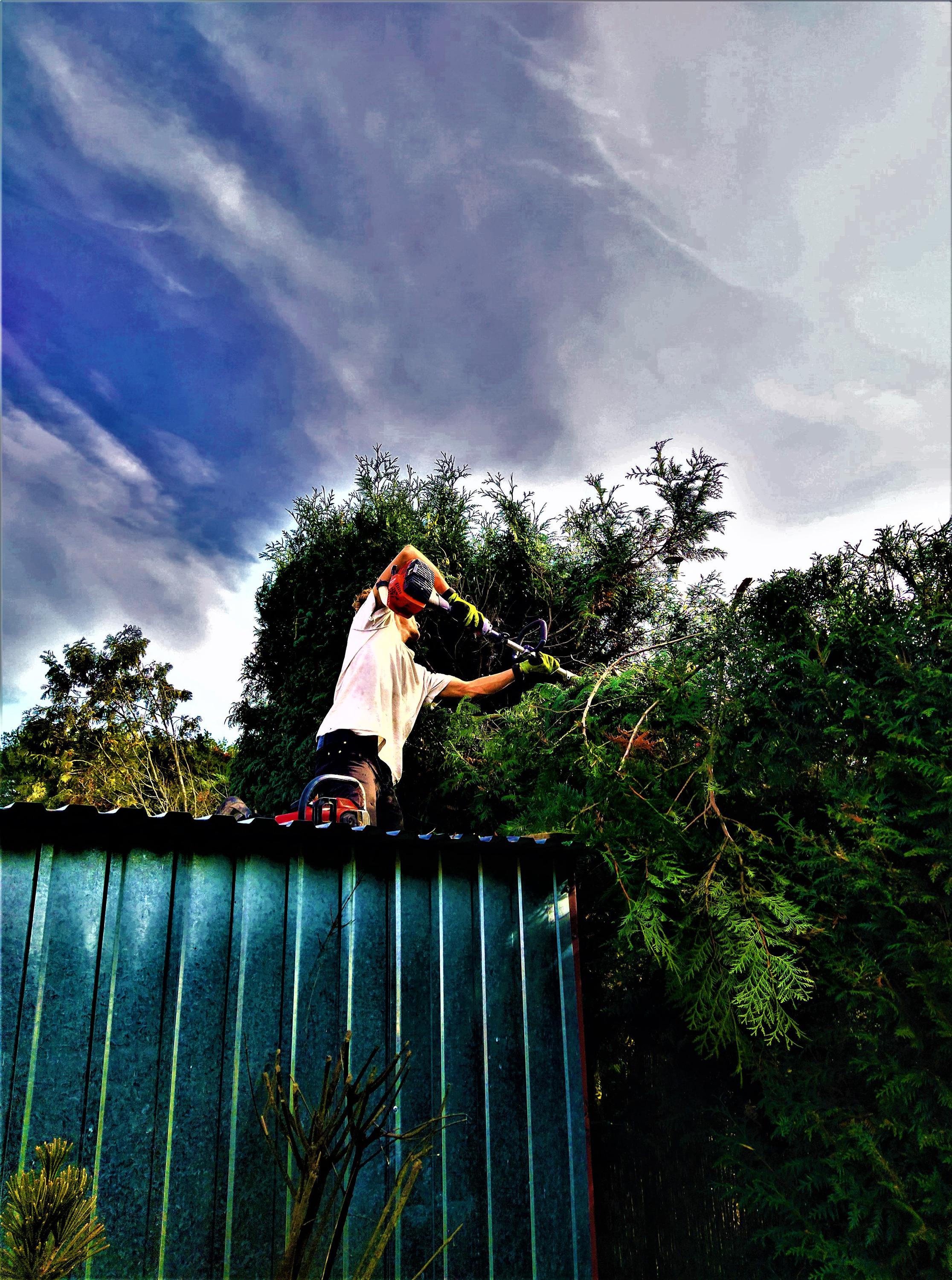 GardenCare.cz | Ing. Jitka Šabatová foto 5