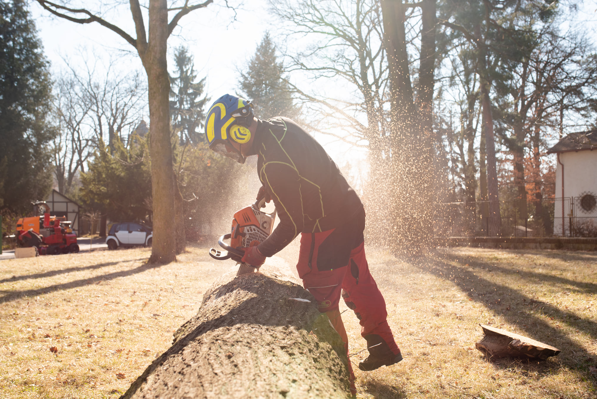 Tomáš Kopřiva - Arboristika a rizikové kácení foto 3