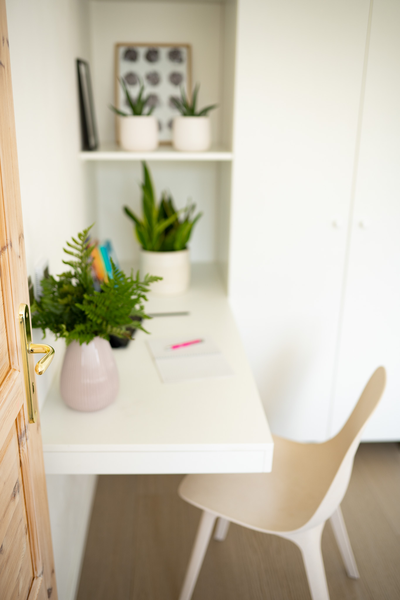 Lucie Kirchner, konzultantka a mentorka foto 3