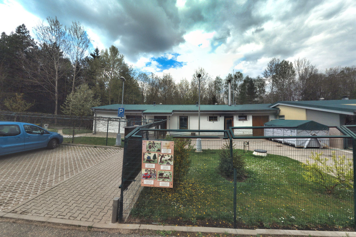 Azyl pro zvířata Hradec Králové