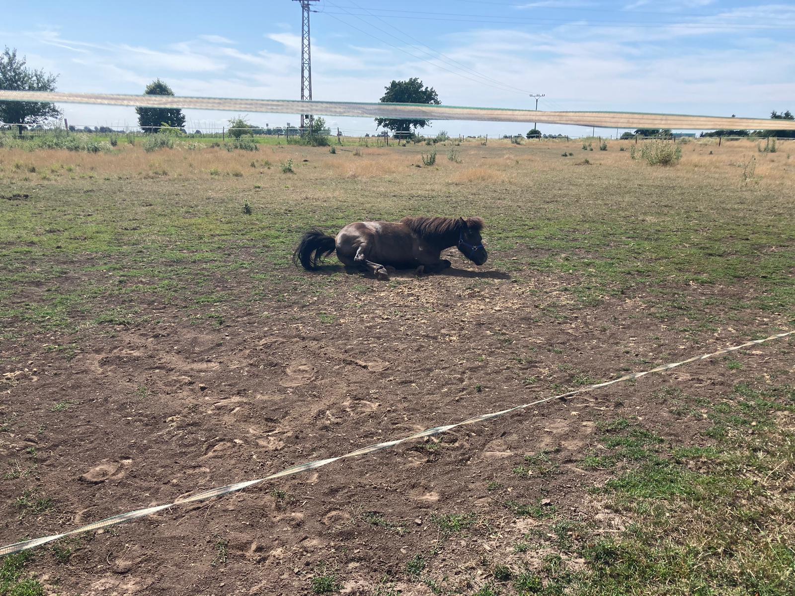 Sportovní stáj LeoCam foto 4