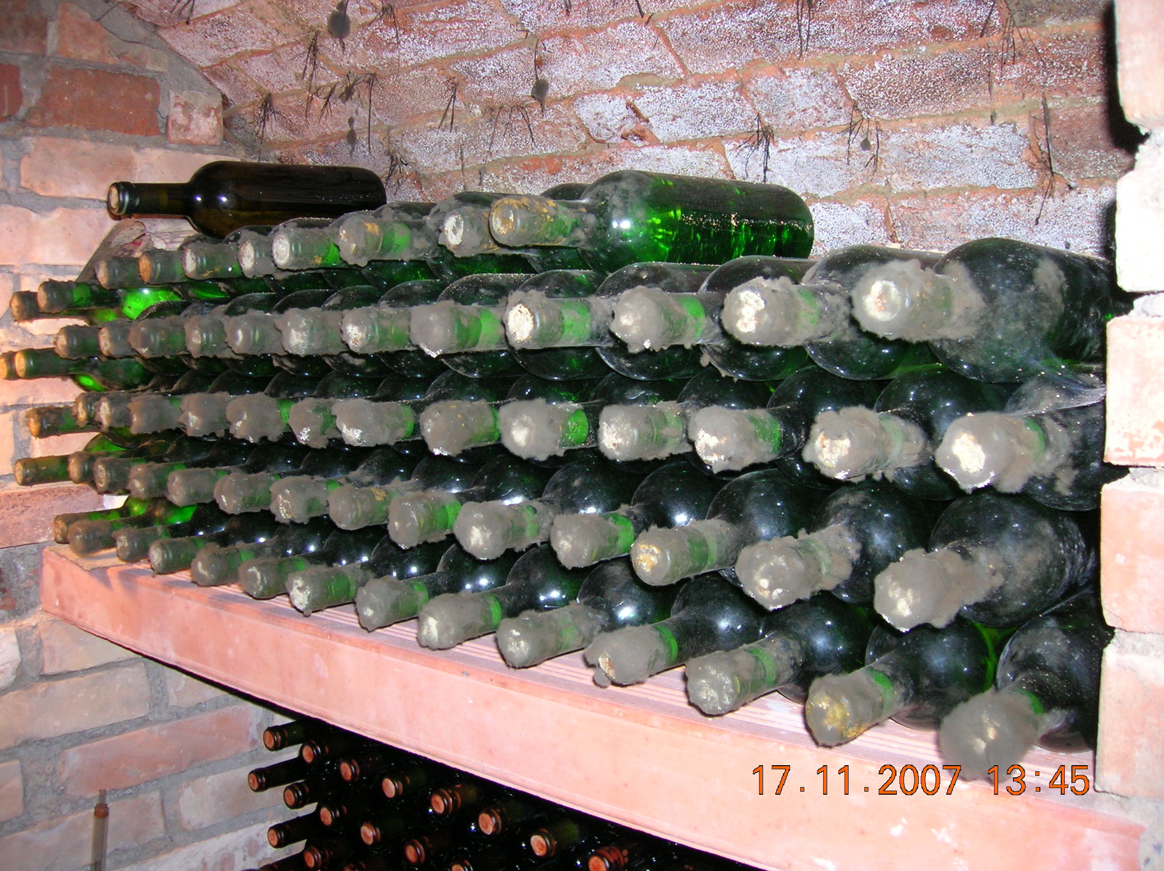 Ubytování Naproti sklepa foto 3