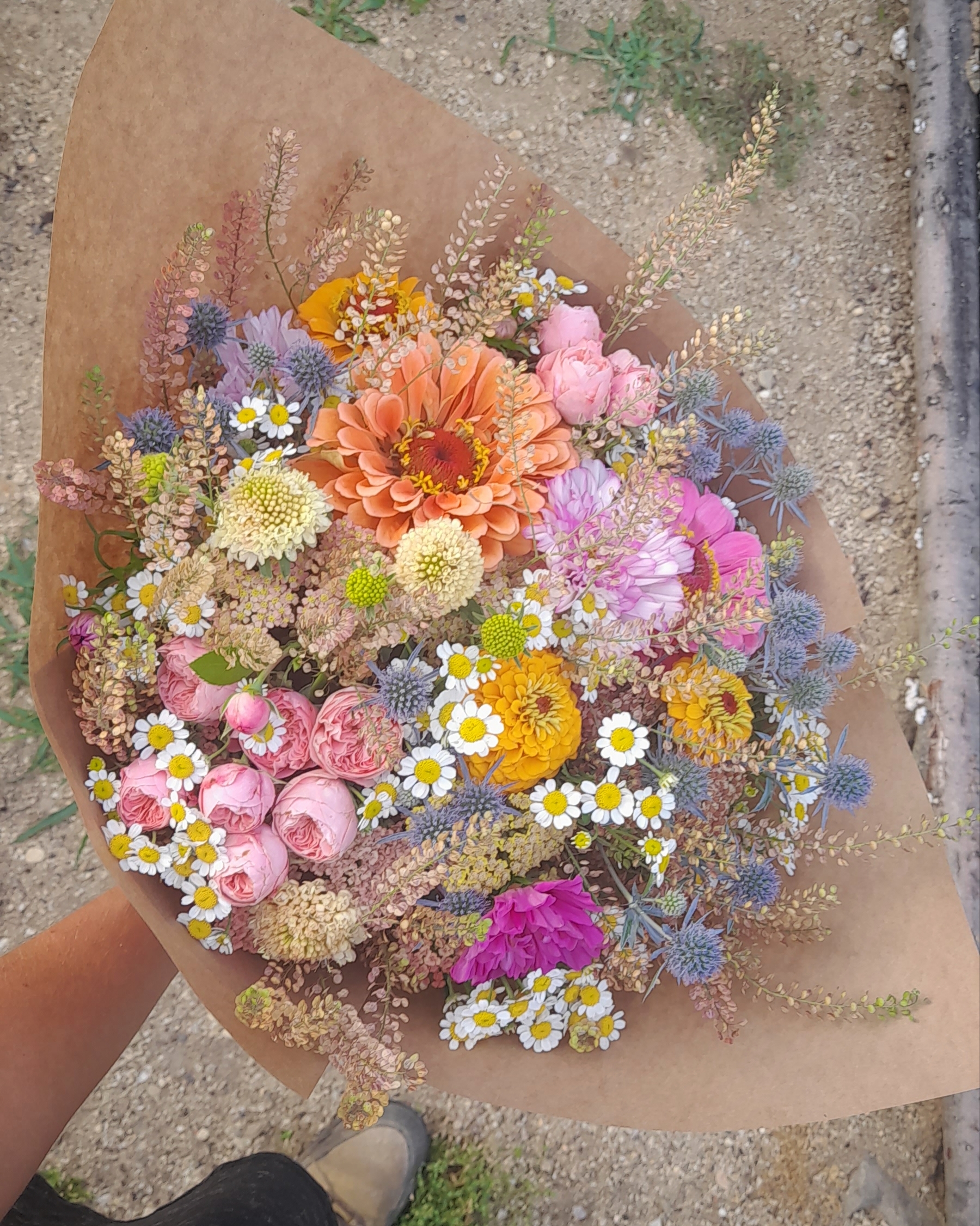 Farma Slunce kvítí foto 6