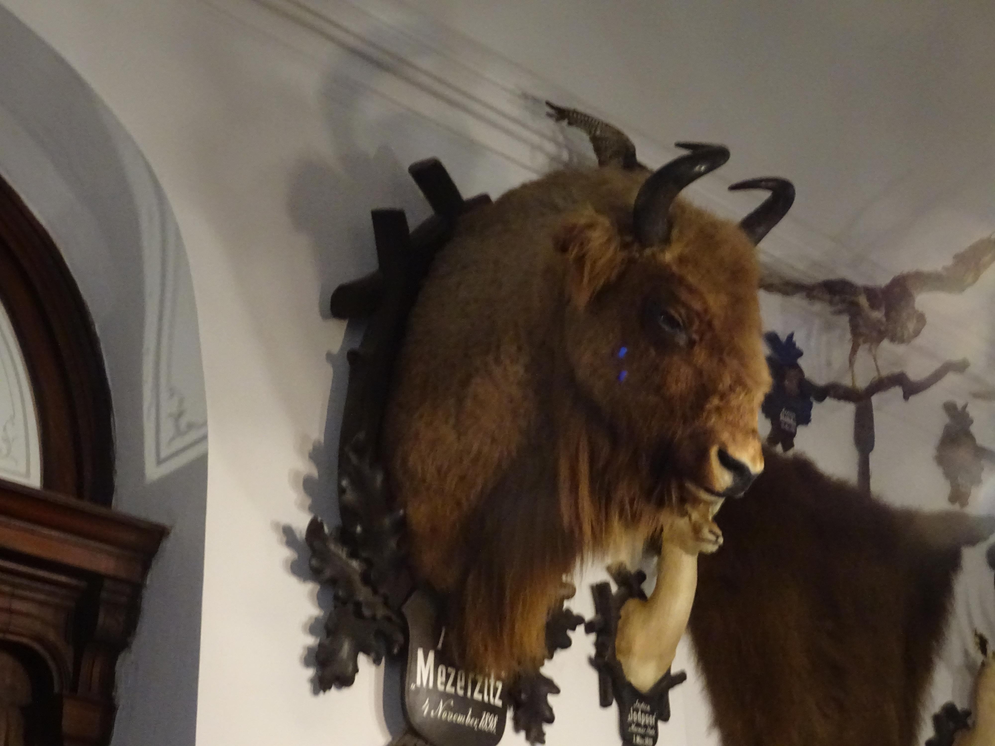 Sváča snack Konopiště foto 3