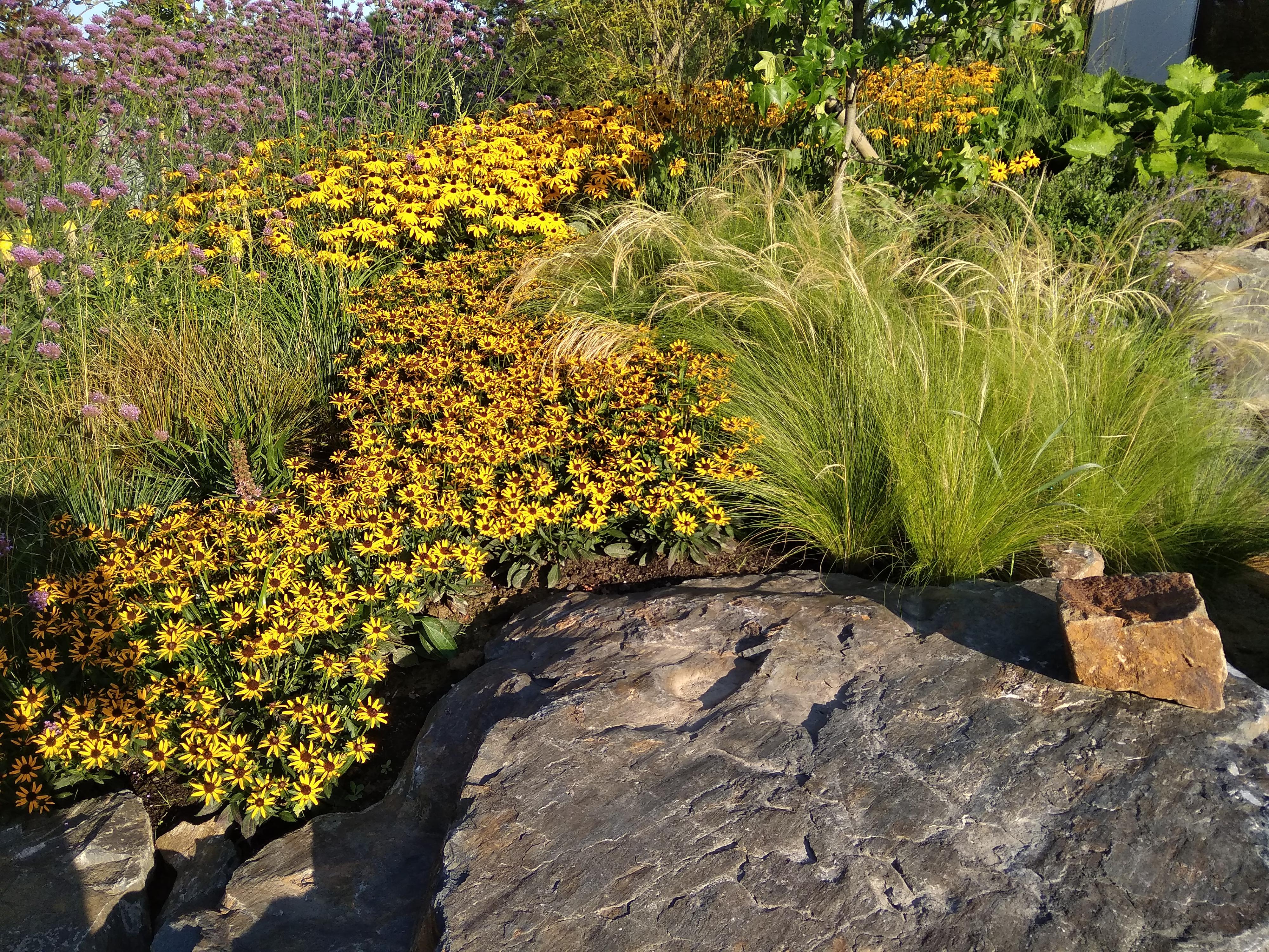 Dolfi Gardens foto 4