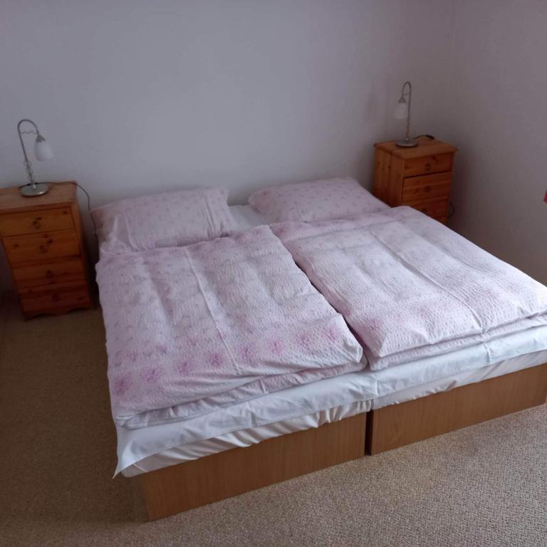 Apartmán Alena Rokytnice foto 3