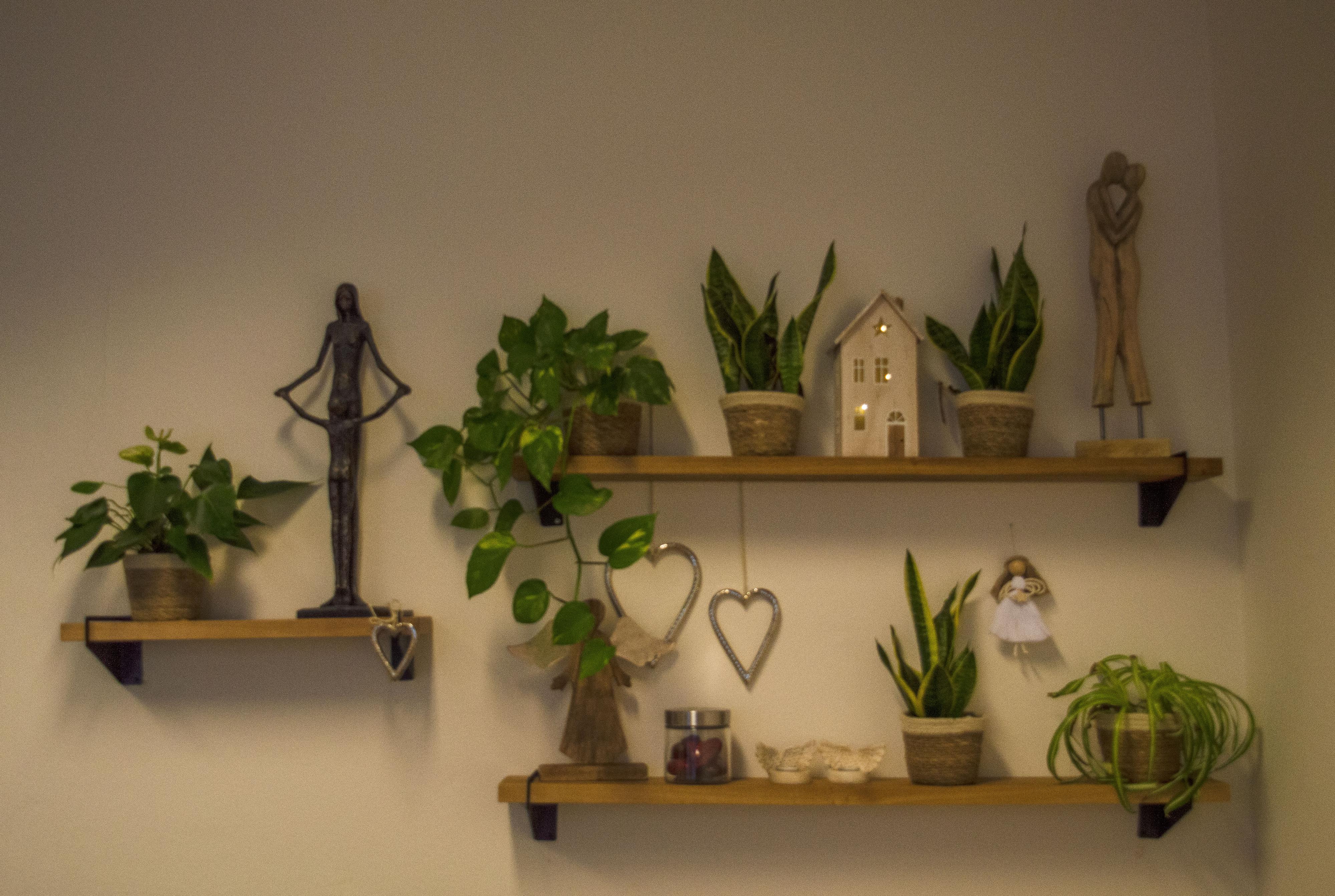 Libuše Pecková - psychoterapeut, rodinný terapeut foto 2