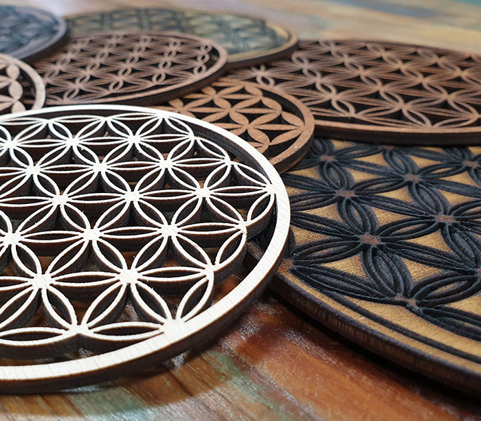 dřevo života foto 4