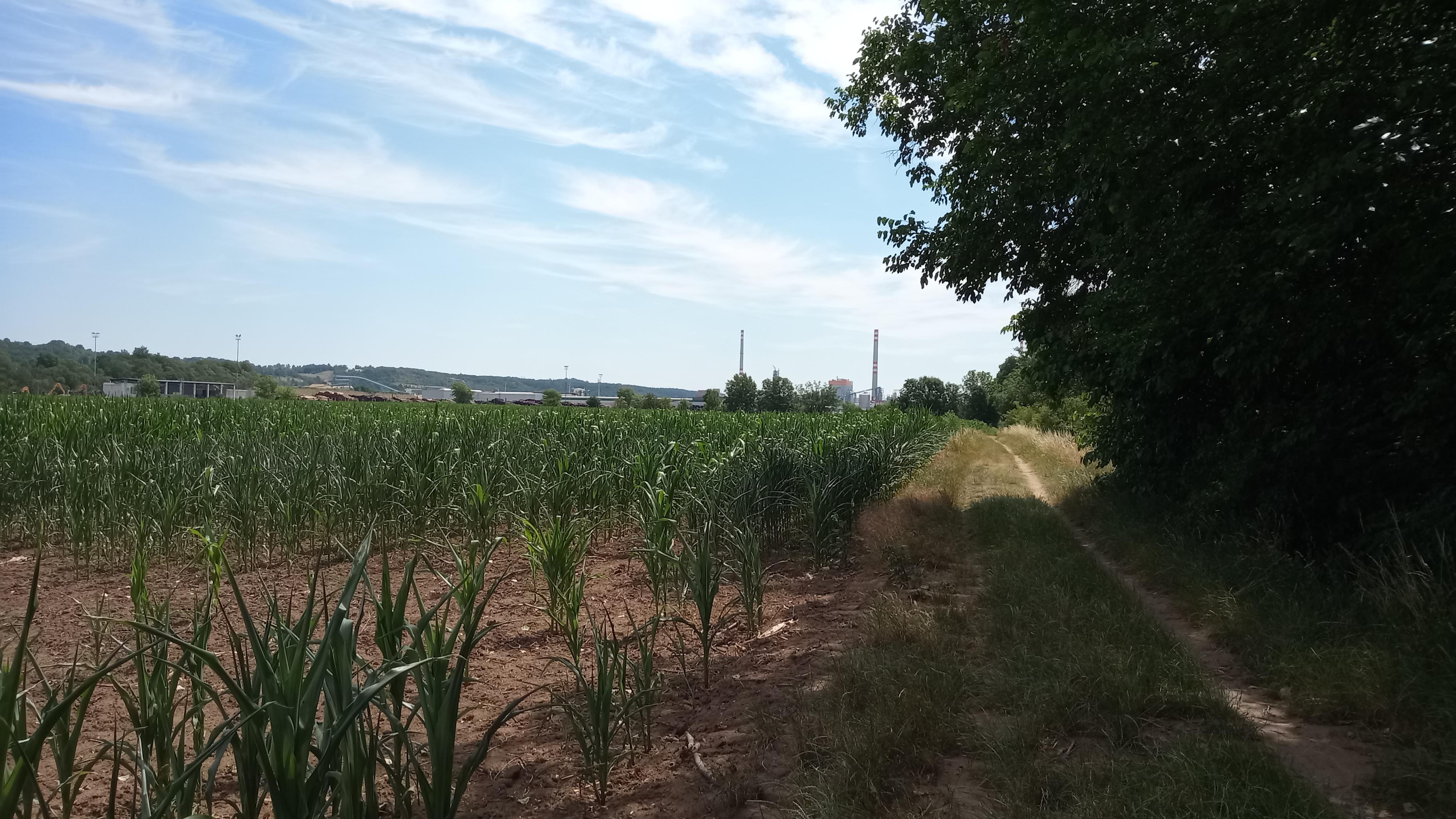 Mondi Bags Štětí, a.s. foto 2