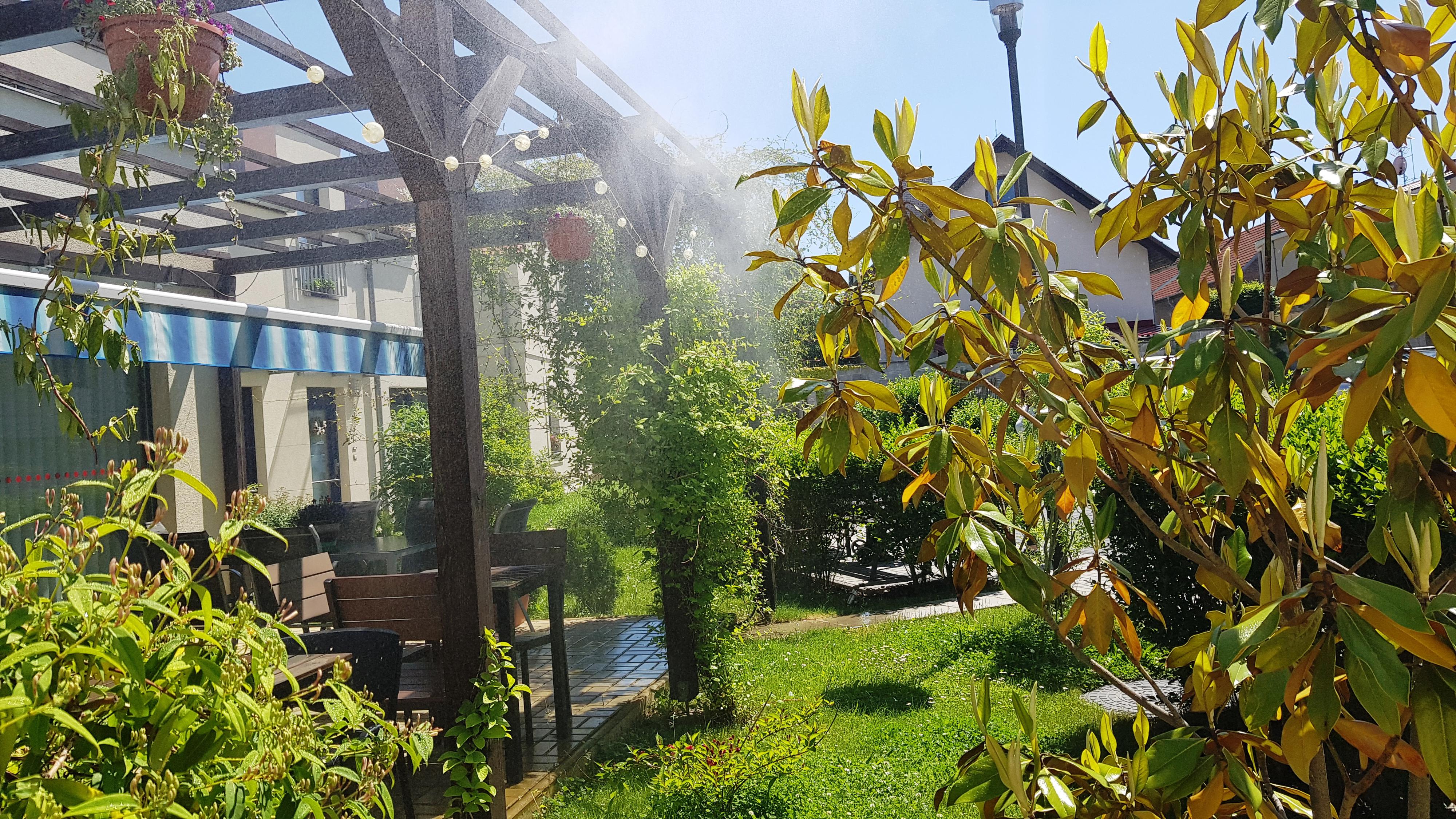 Pečovatelská služba SD foto 6