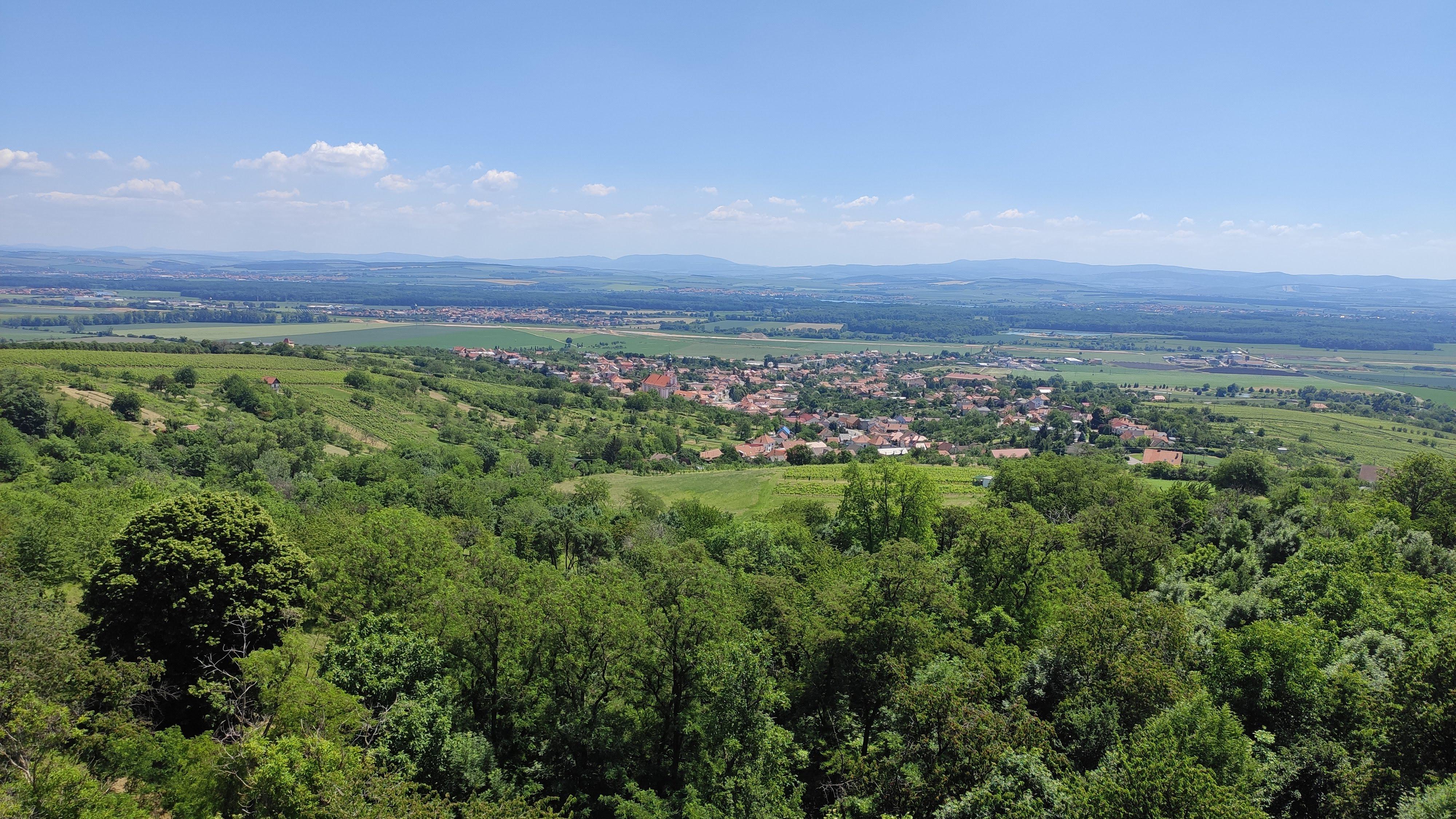 Šlechtitelská stanice vinařská, s.r.o. foto 4