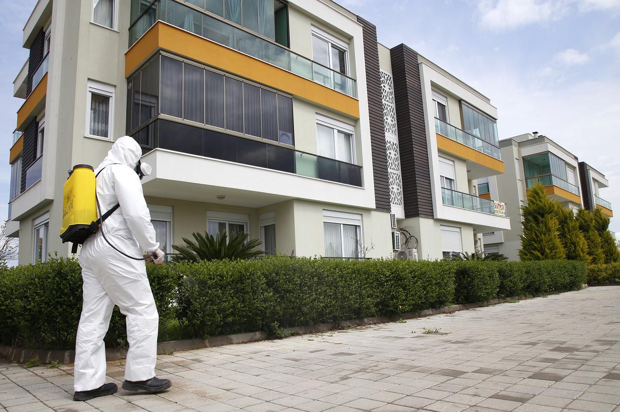 Likvidace plevele a nežádoucí vegetace