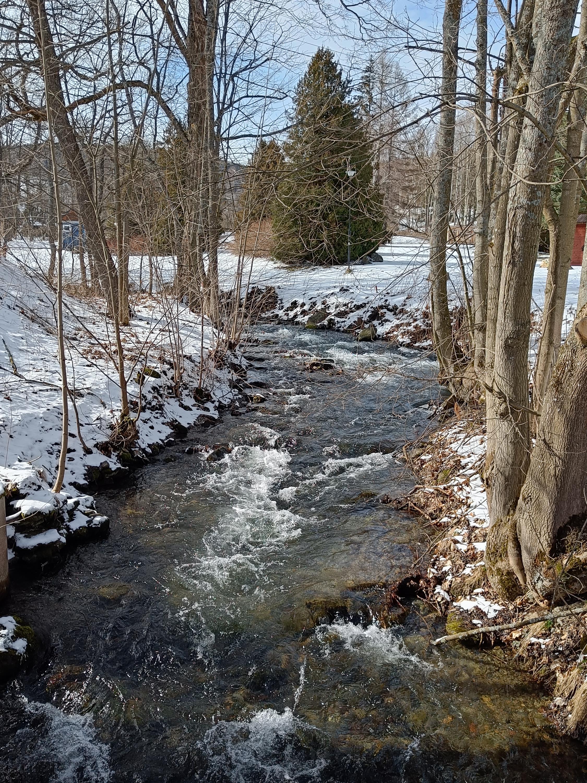 Yoga point v Karlově pod Pradědem foto 2