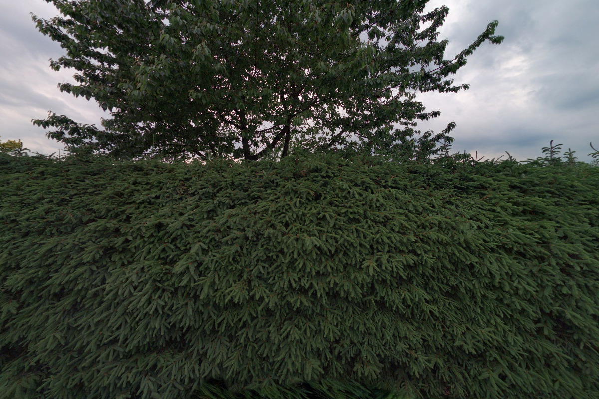 Geodezie Sýkora foto 4