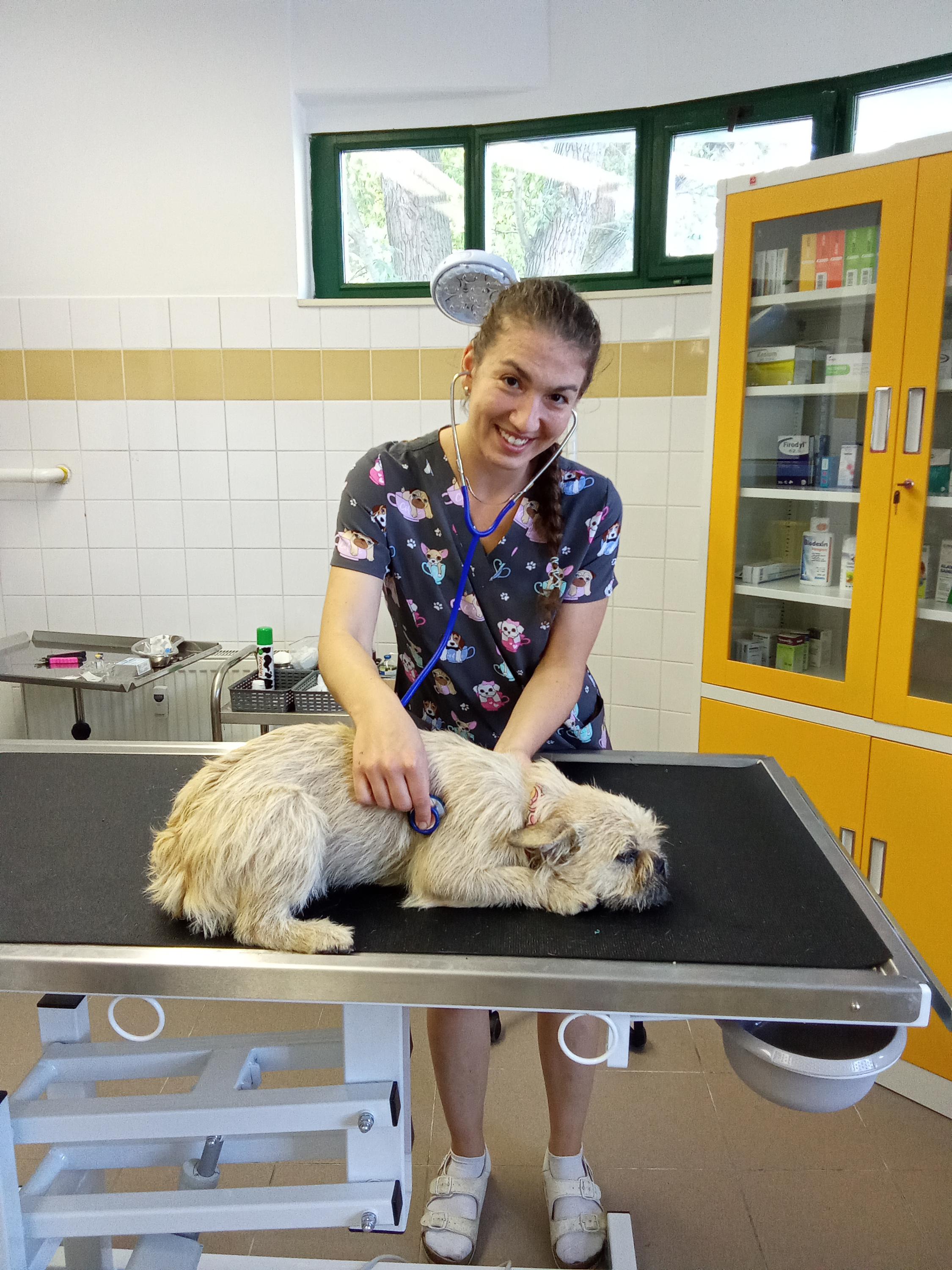 Veterinární ordinace u Sportovní haly foto 4