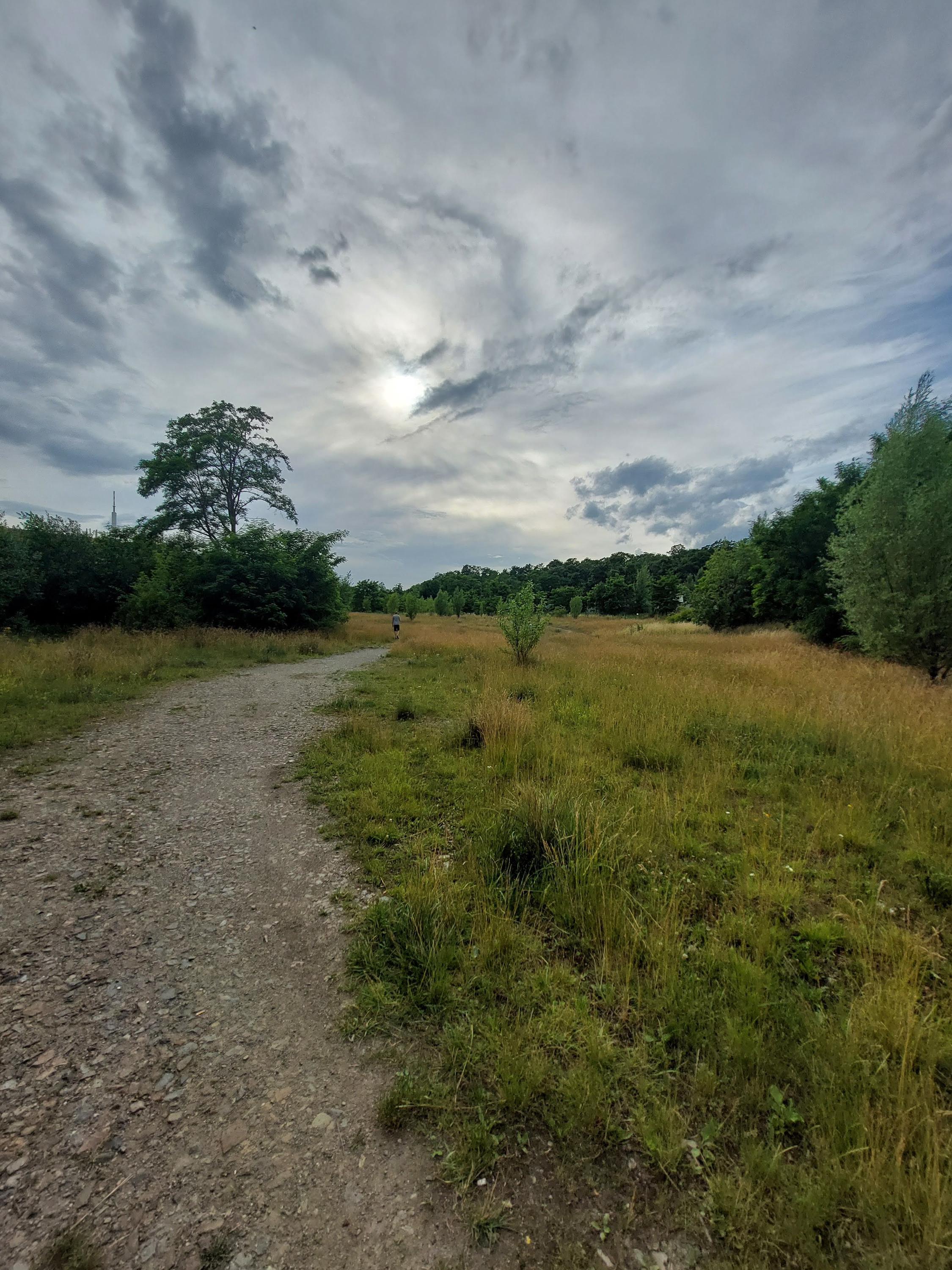 Junák - český skaut, 4. přístav Jana Nerudy Praha, z. s. foto 6
