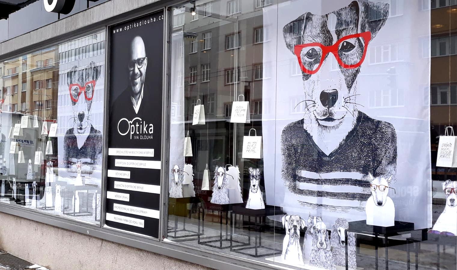 Optika Iva Dlouhá foto 6