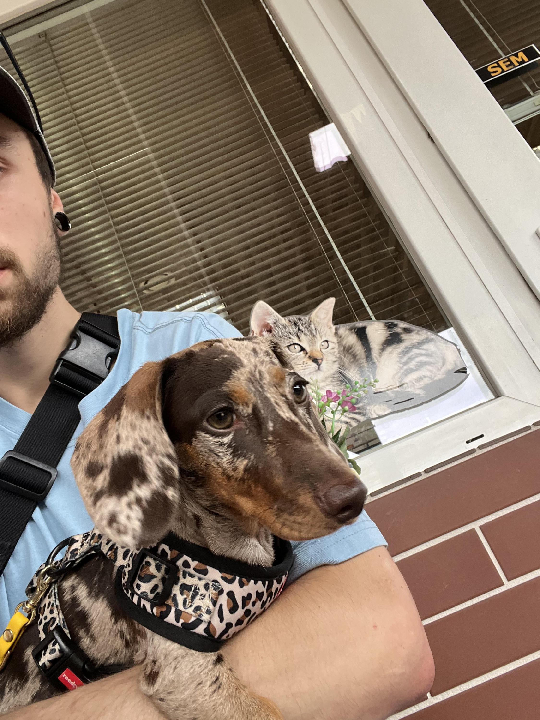 Veterinární ordinace OrdinaVet foto 5