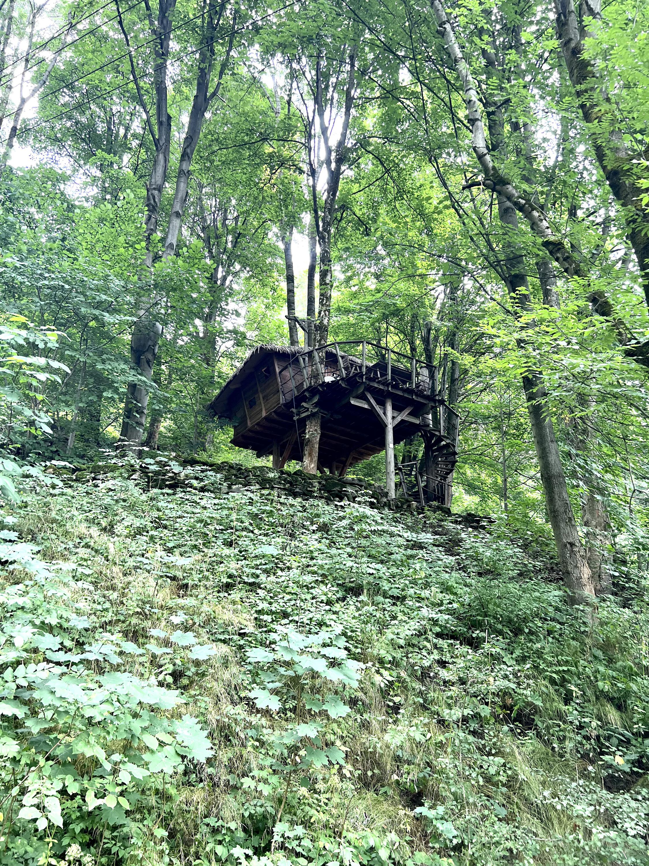 Treehouse pod Ještědem foto 3