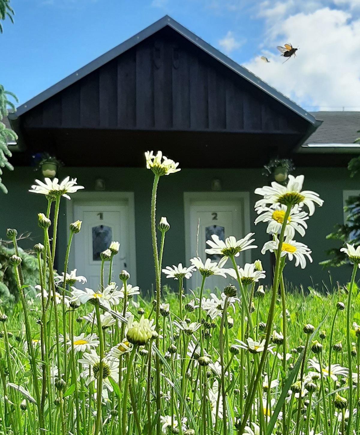 Apartmány Potůčky foto 3