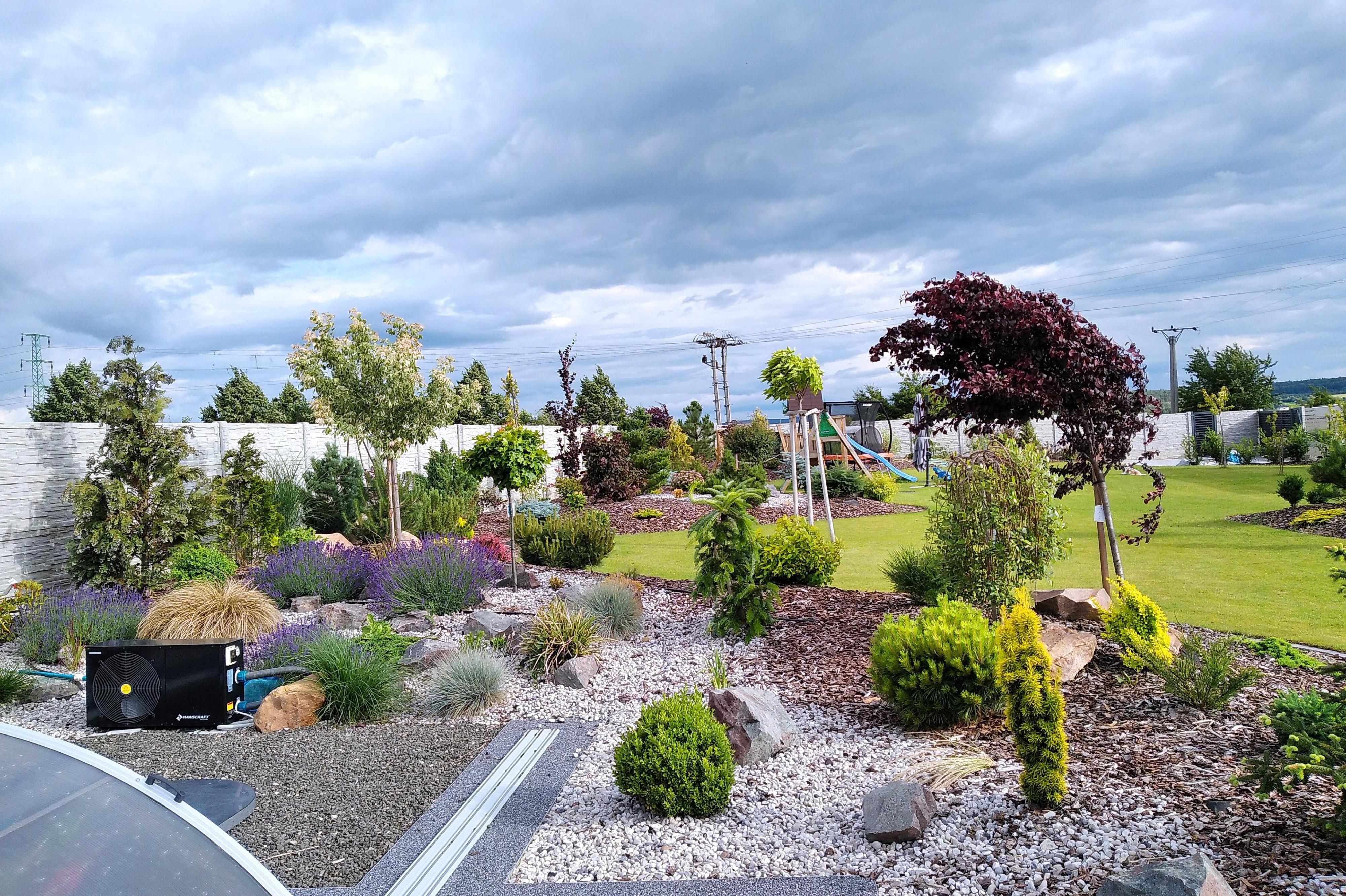 Michal Bergman foto 1