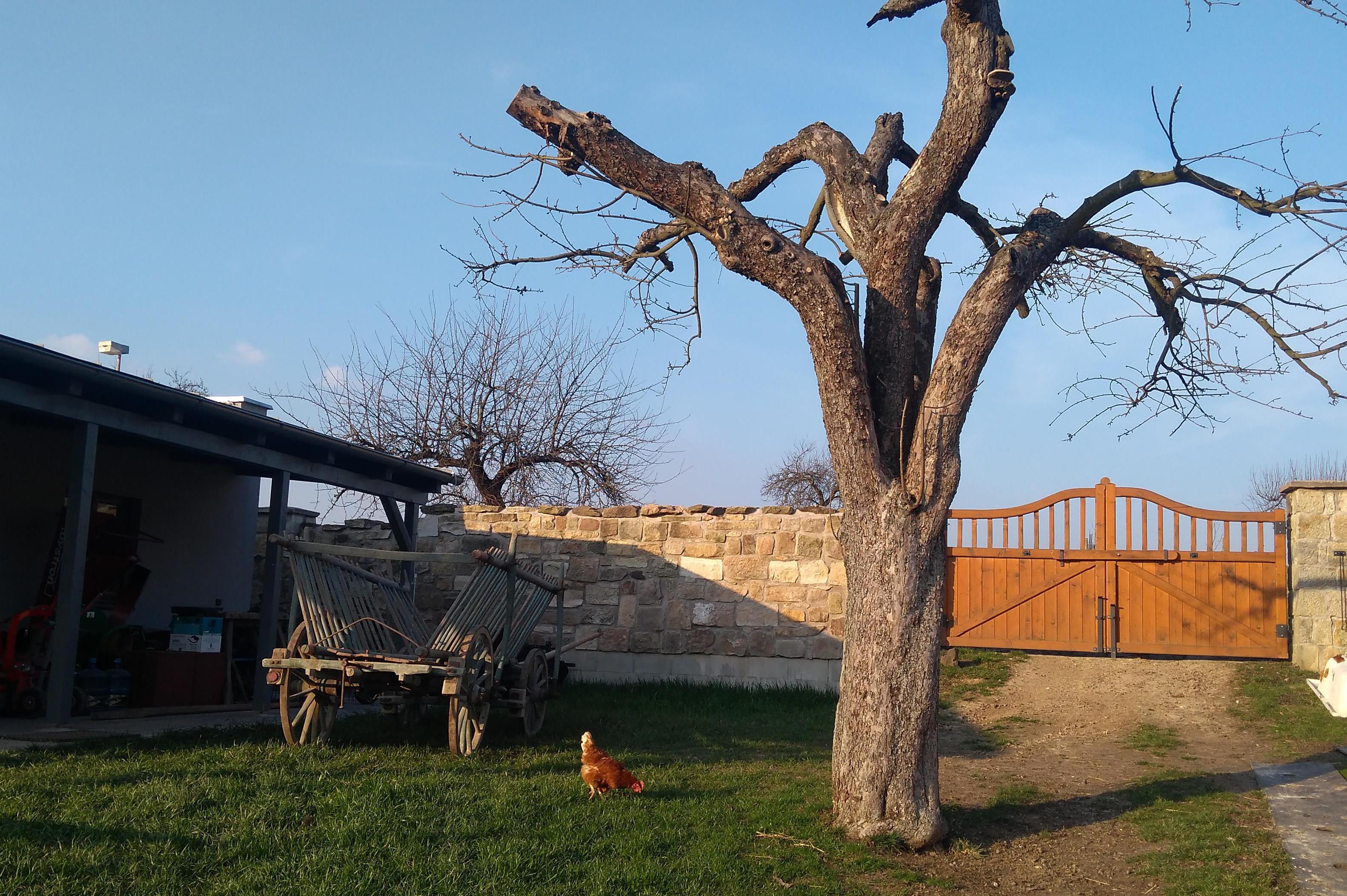 Rodinná farma Na Kamenci