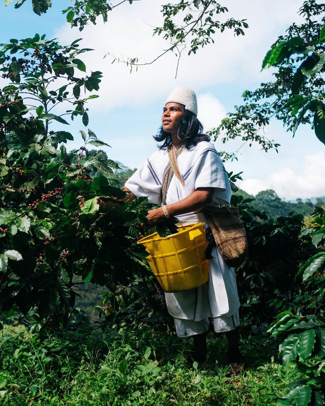 Café Arhuacos foto 1