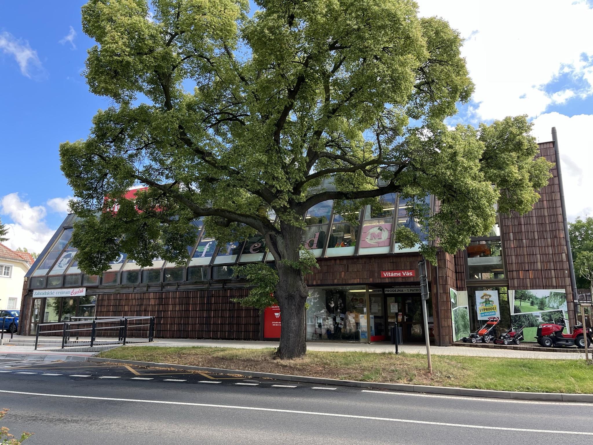 Zahradnické centrum Čepelák foto 1