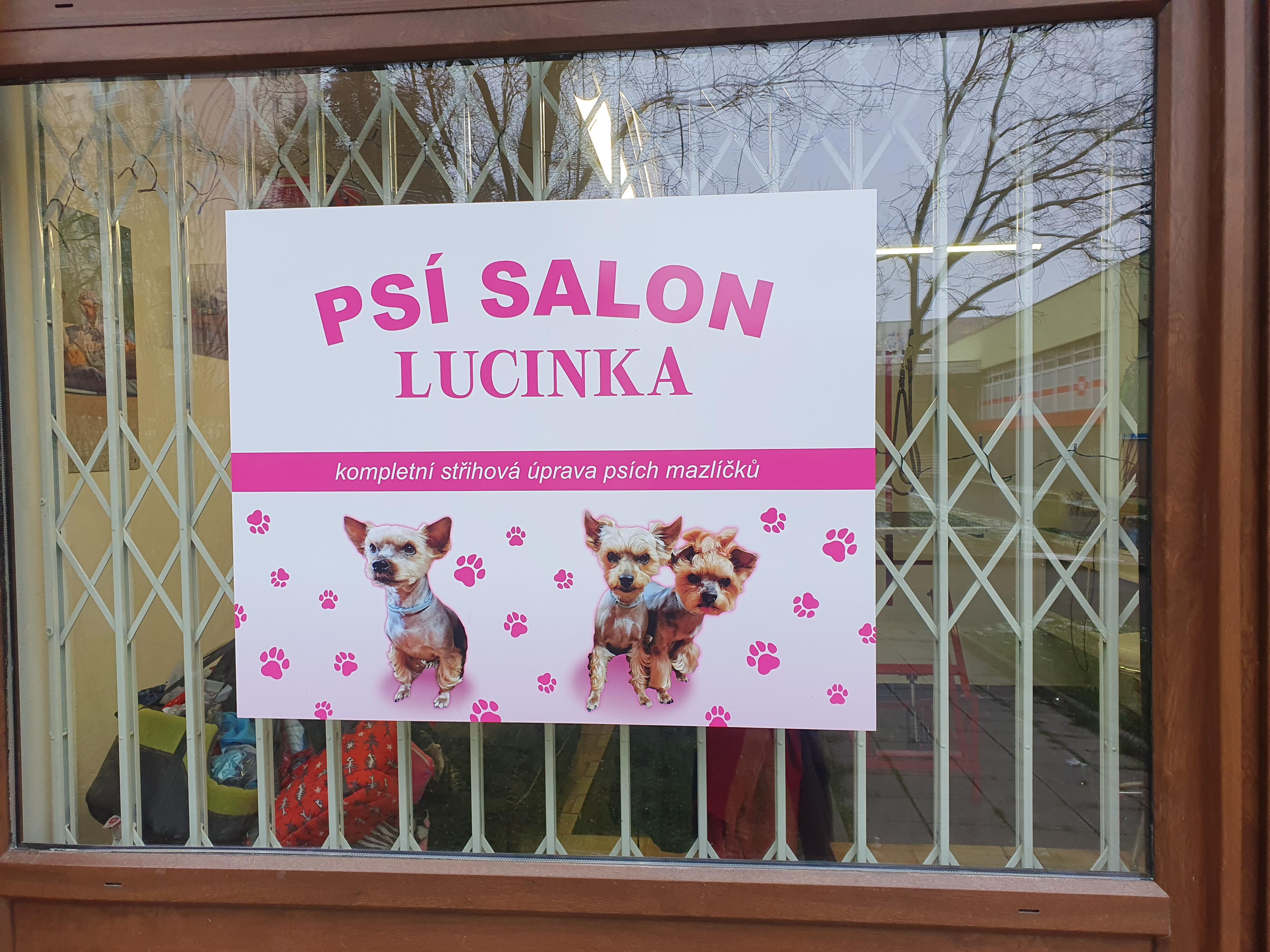 Psí salon Lucinka foto 2