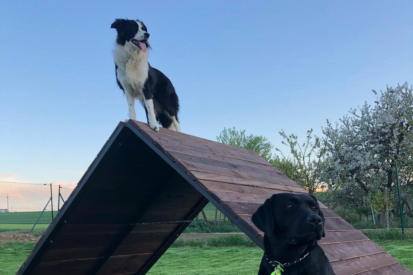 Centrum pro výcvik psů Ořechov