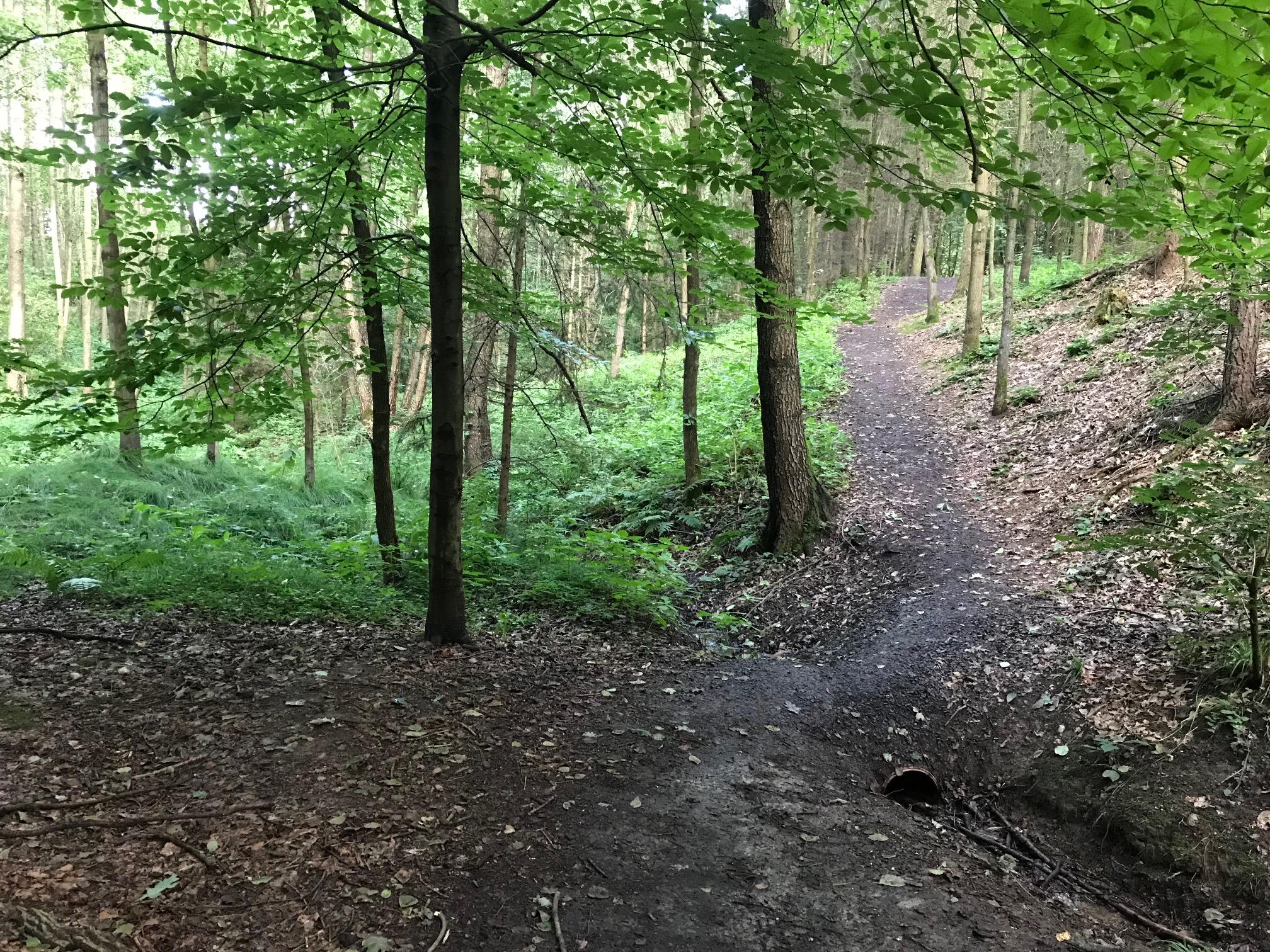 Mgr. Lenka Randýsková - psychologická poradna foto 2