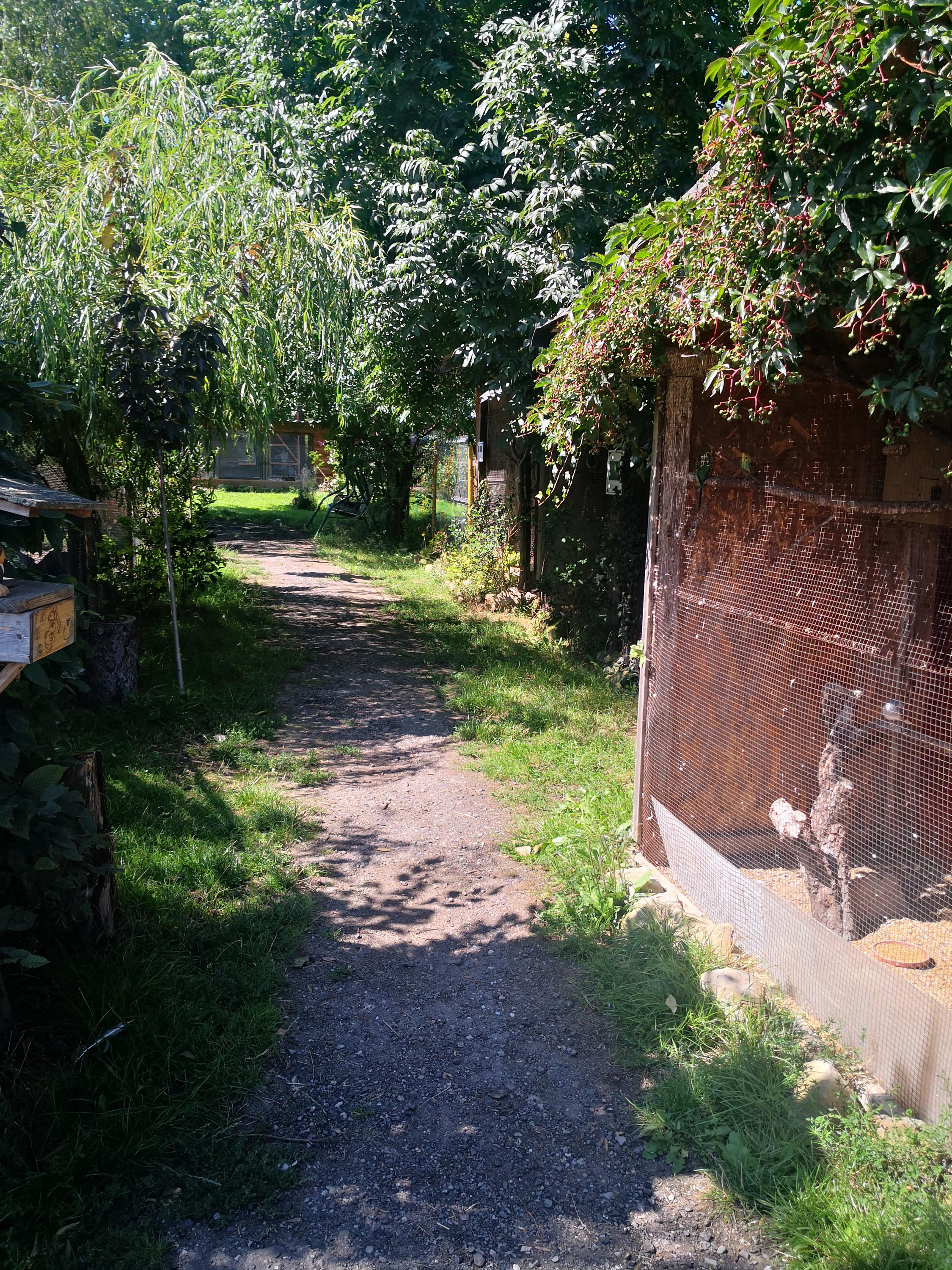 Ranč U kulhavýho velblouda foto 5