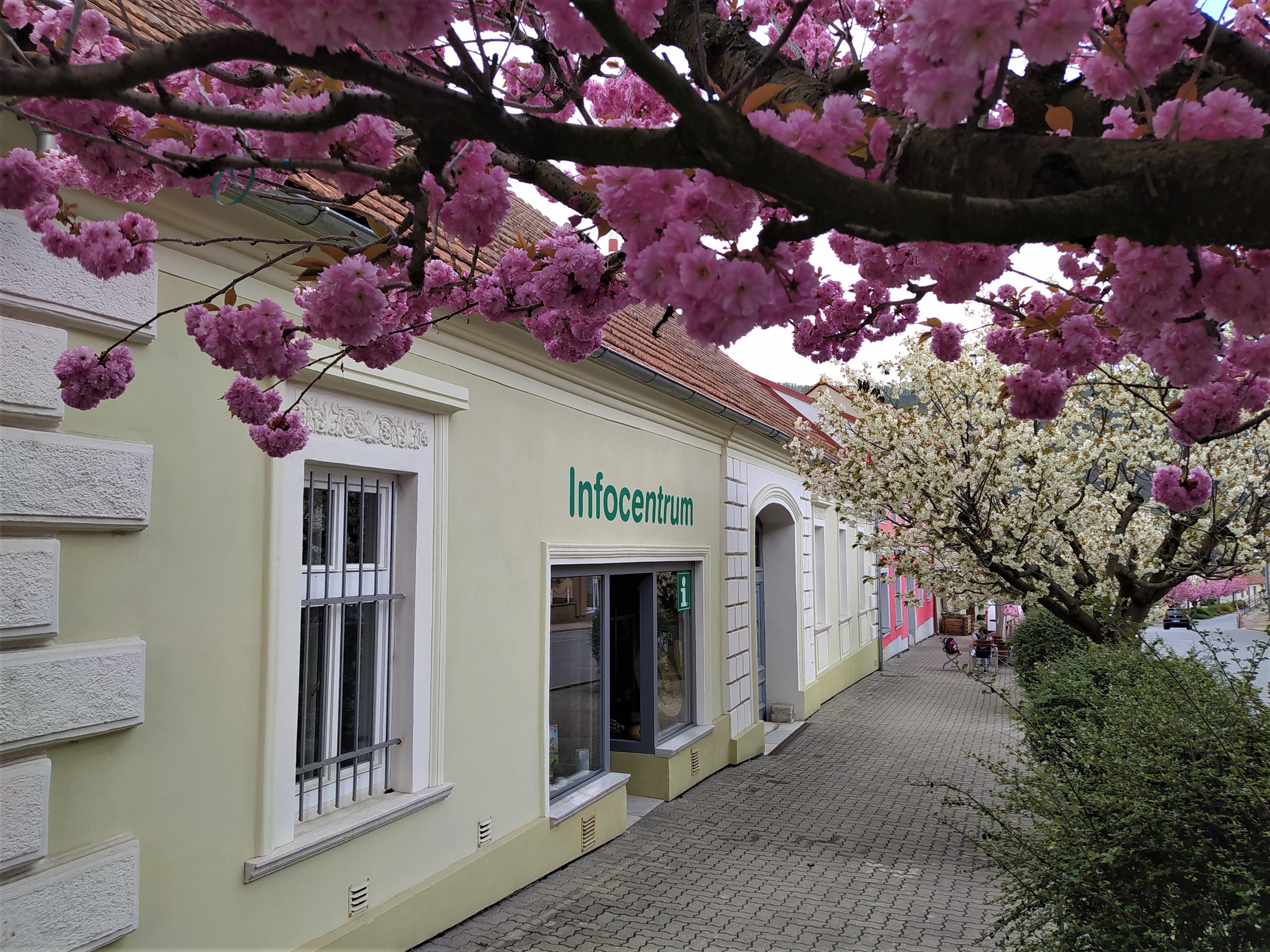 Turistické informační centrum Nedvědice foto 3