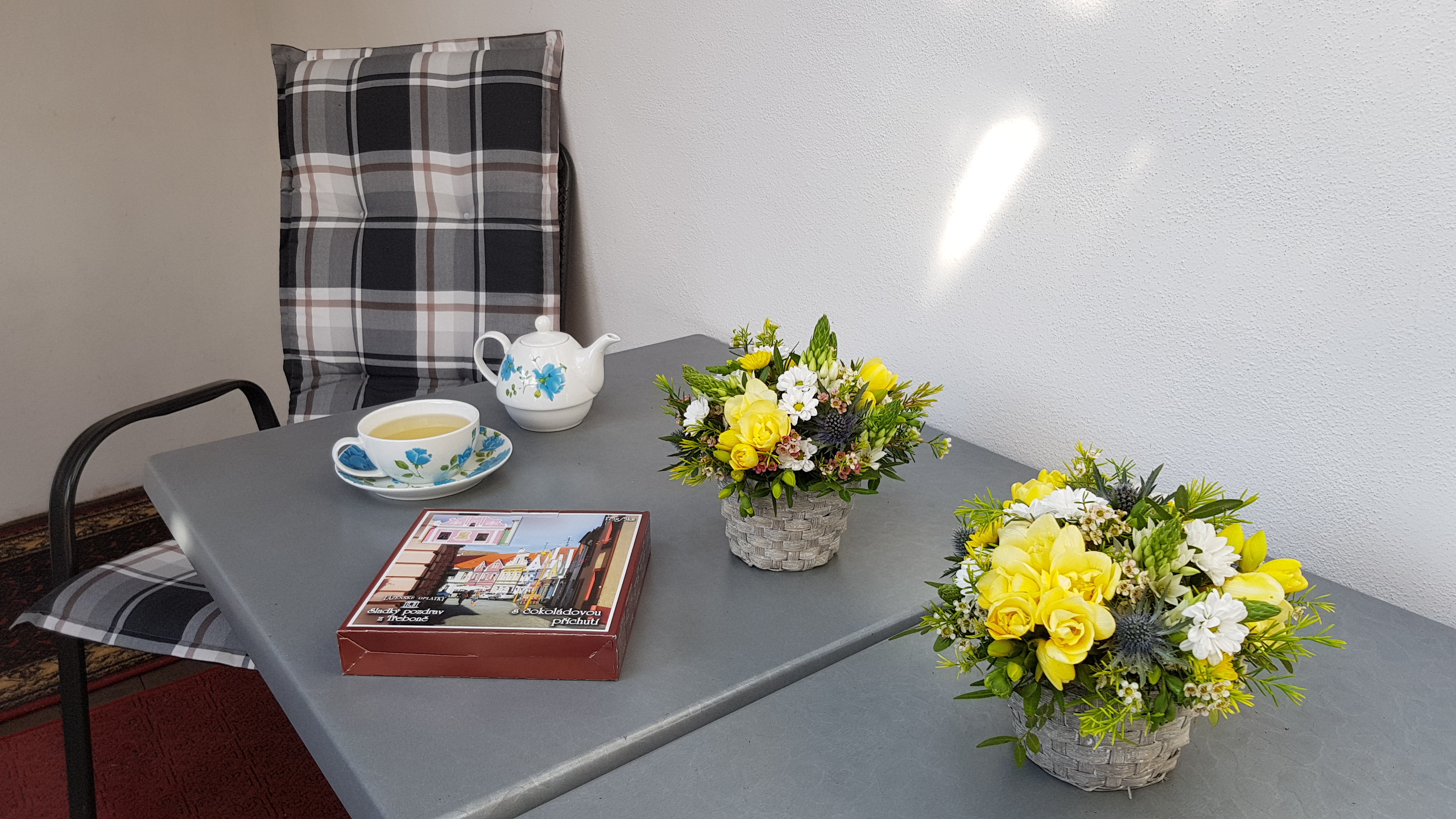 Modrá růže Třeboň foto 3